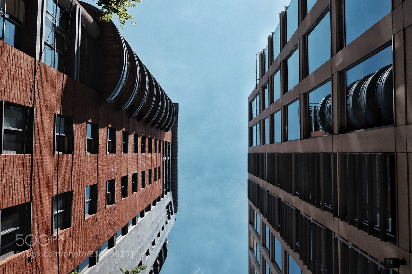 Fujifilm X-T10 sample photo. Untitled photography