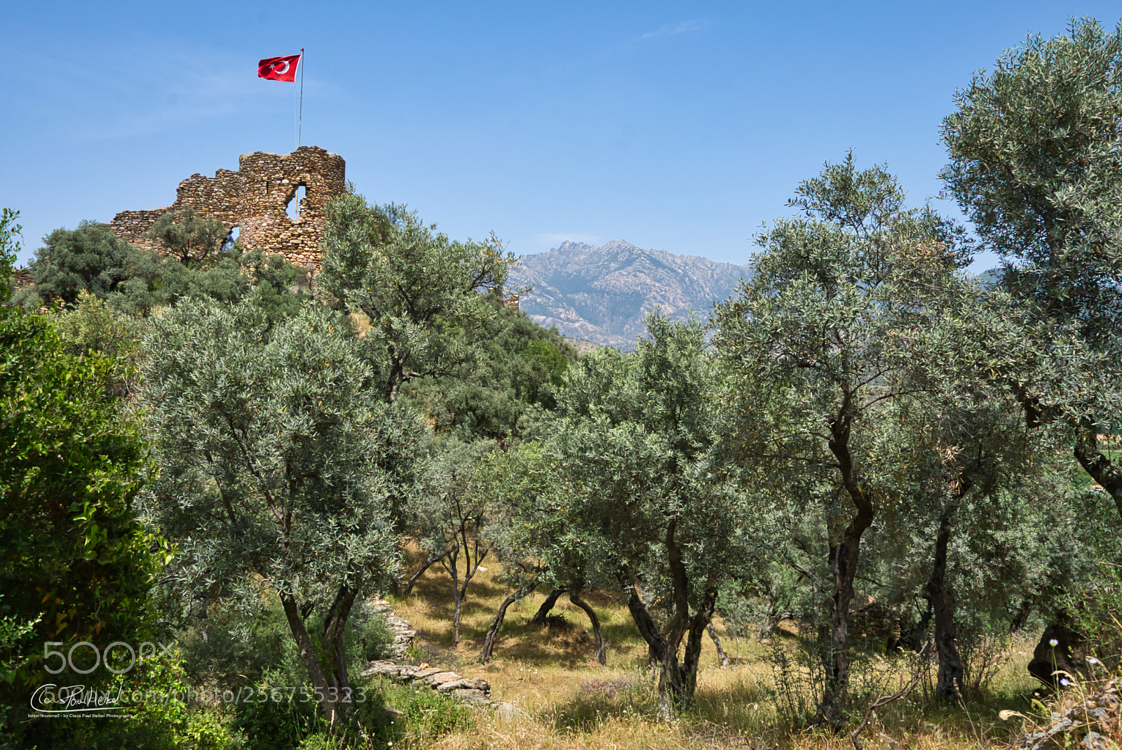 Nikon D7200 sample photo. Fortress ruin in the photography