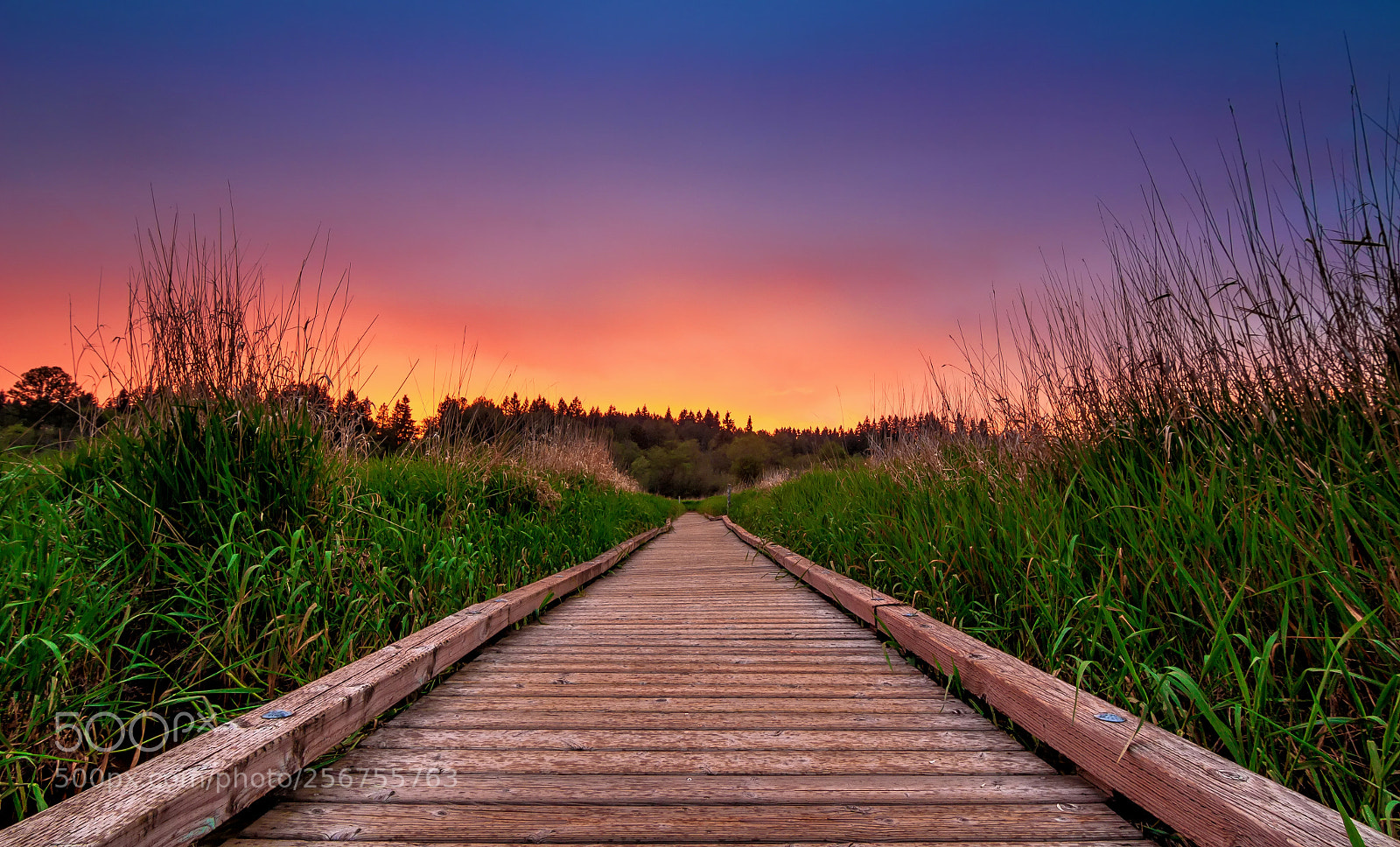 Canon EOS 700D (EOS Rebel T5i / EOS Kiss X7i) sample photo. Down on the boardwalk photography
