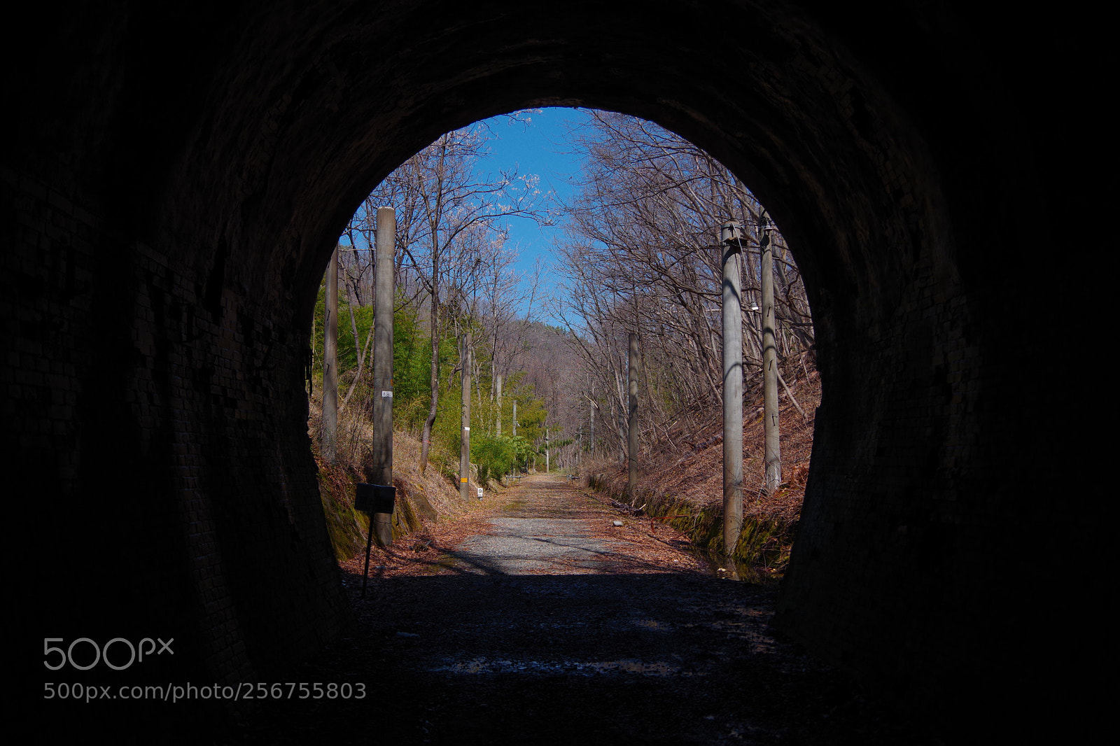 Pentax K-70 sample photo. Untitled photography