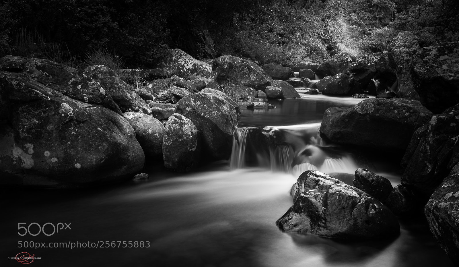 Nikon D610 sample photo. Gravity in the gorge photography