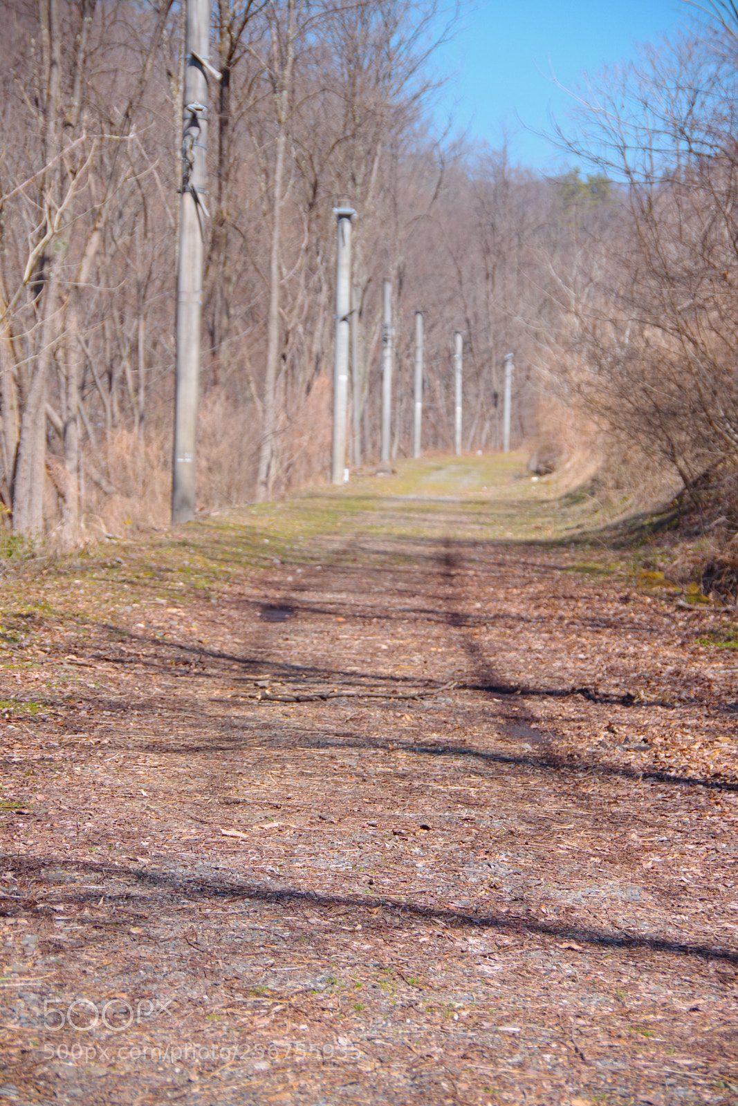 Pentax K-70 sample photo. Untitled photography