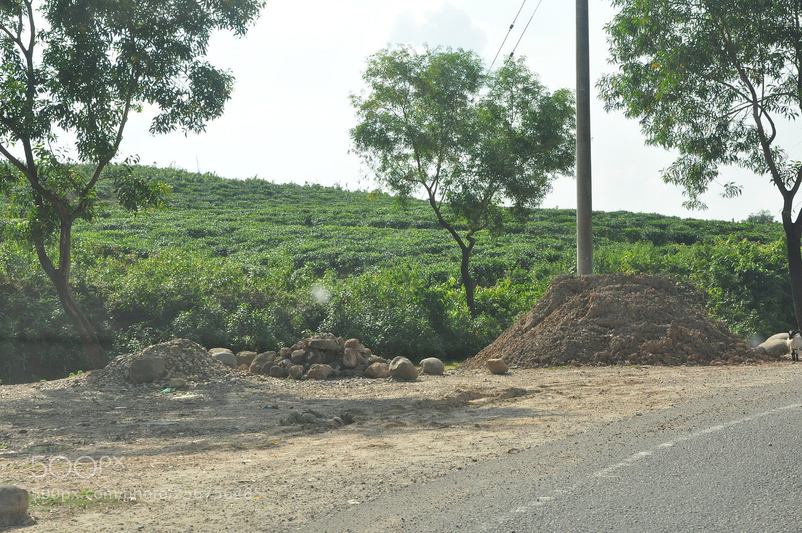 Nikon D90 sample photo. Nature photography