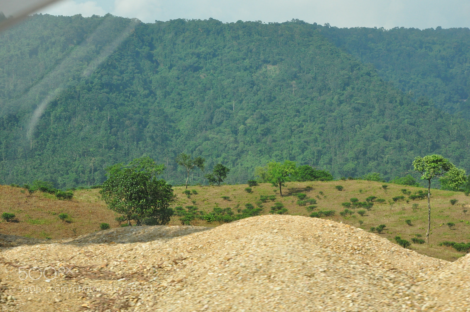 Nikon D90 sample photo. Nature photography