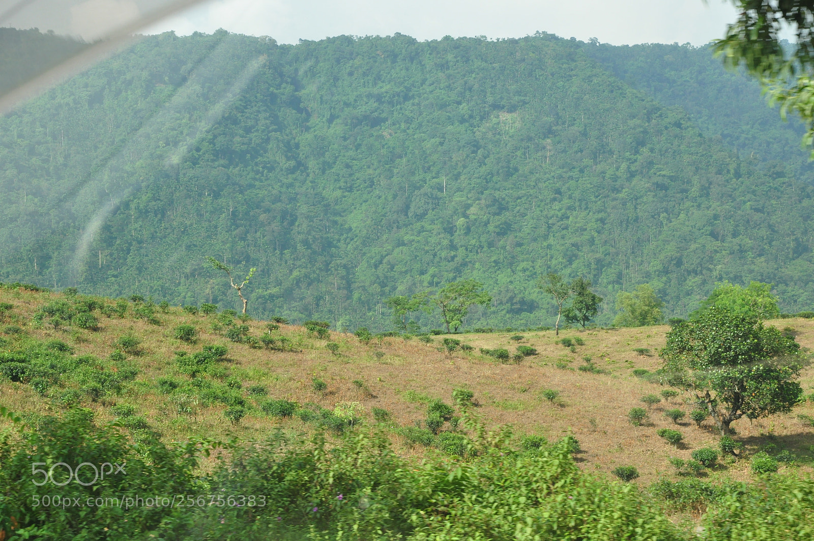 Nikon D90 sample photo. Nature photography