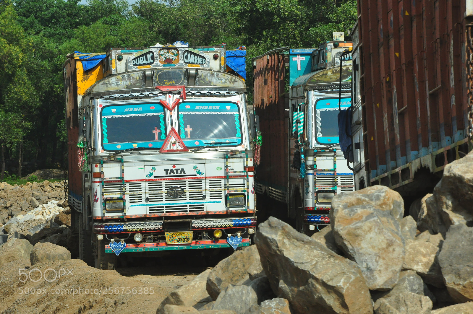 Nikon D90 sample photo. Nature photography