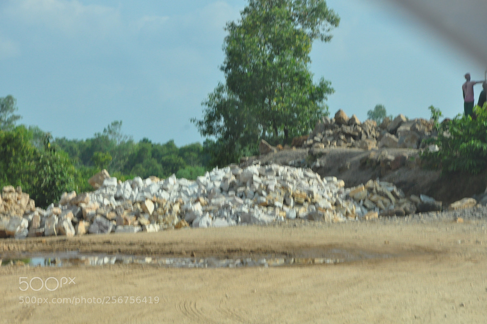 Nikon D90 sample photo. Nature photography