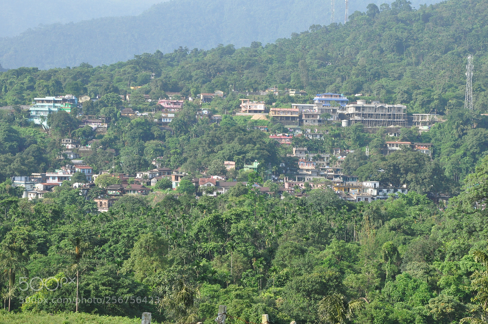 Nikon D90 sample photo. Nature photography