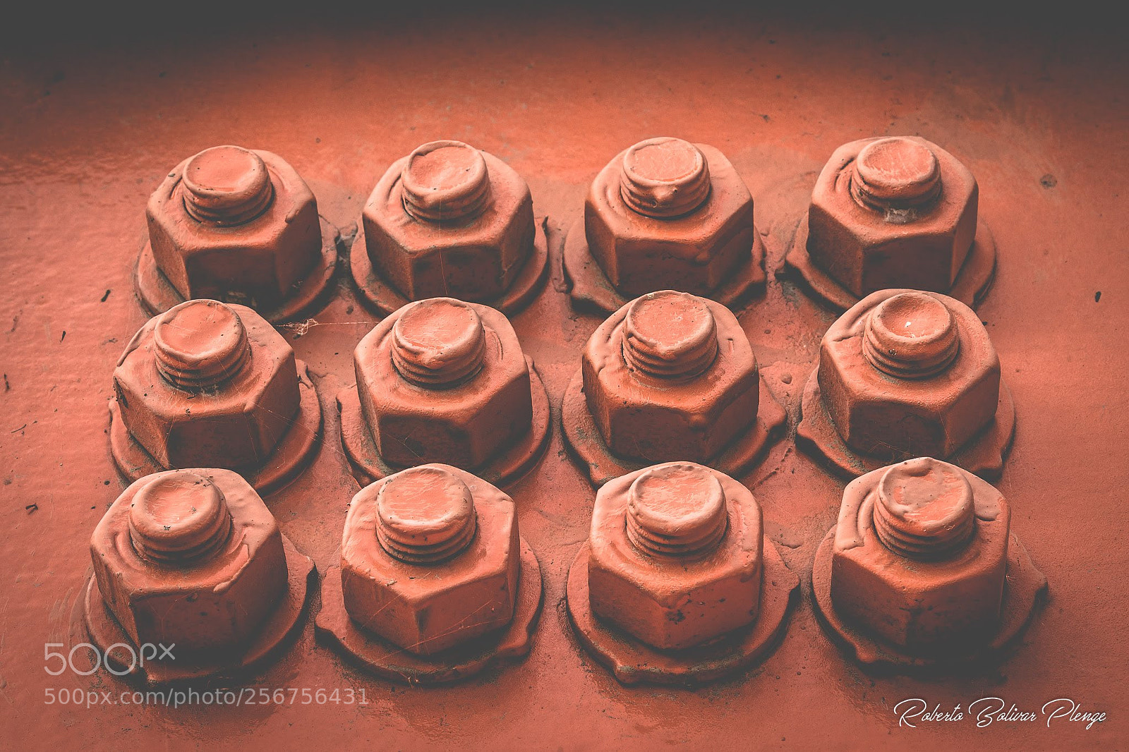 Canon EOS 77D (EOS 9000D / EOS 770D) sample photo. Nuts photography