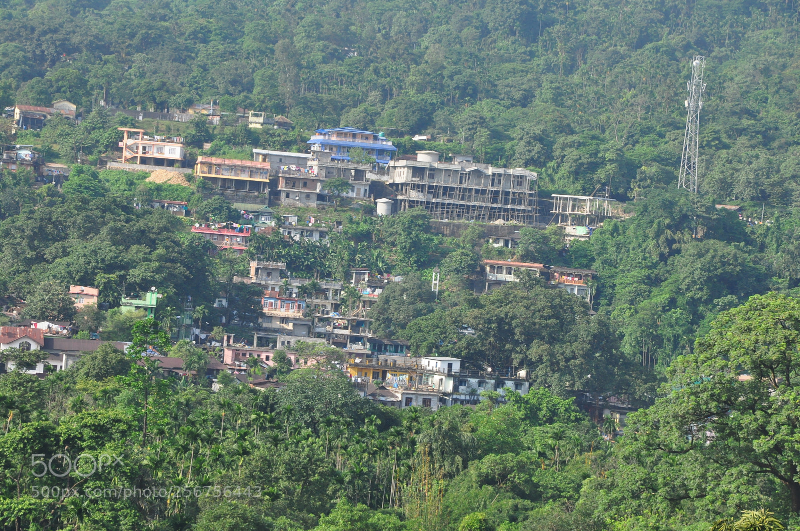 Nikon D90 sample photo. Nature photography