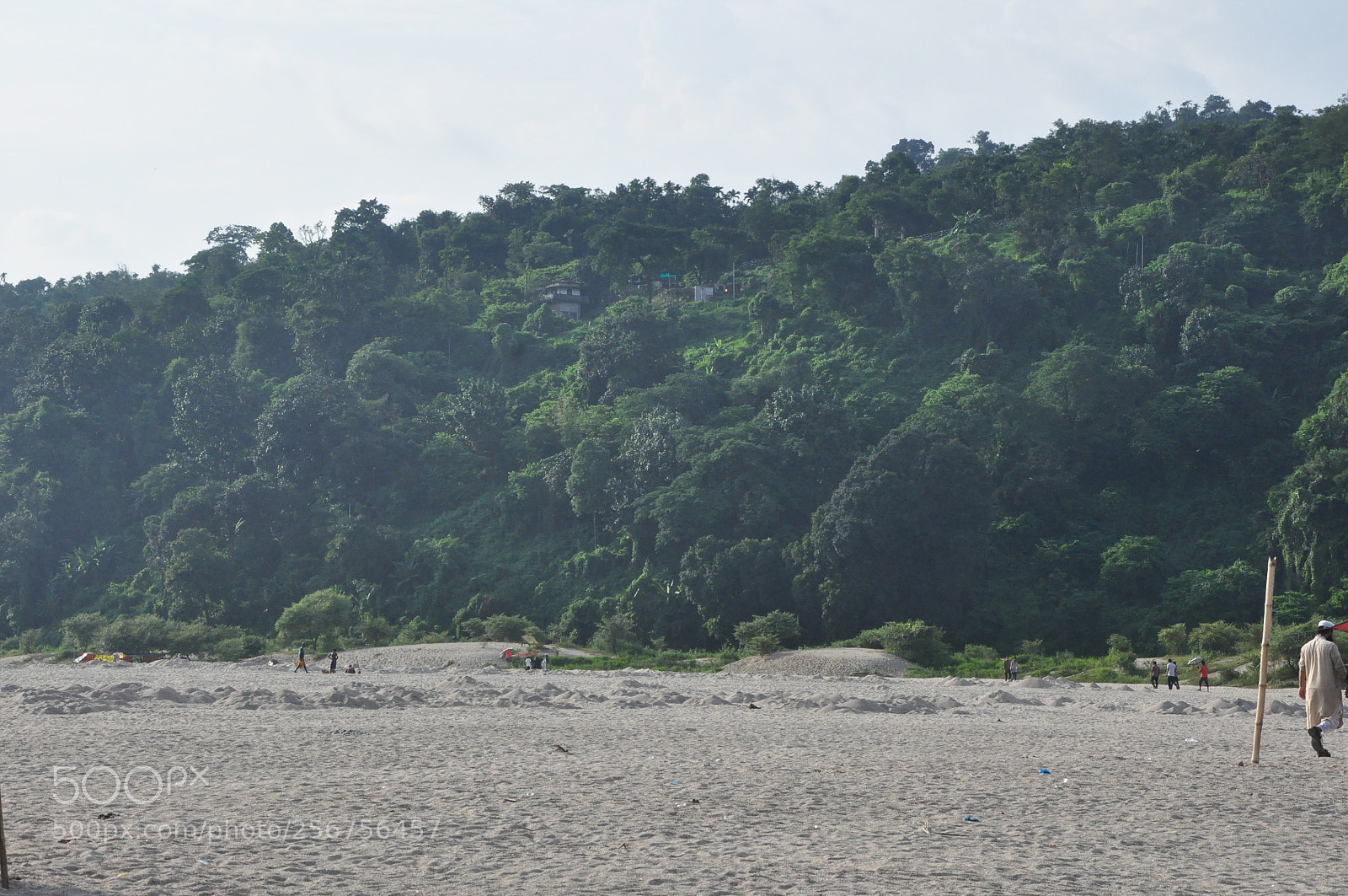 Nikon D90 sample photo. Nature photography