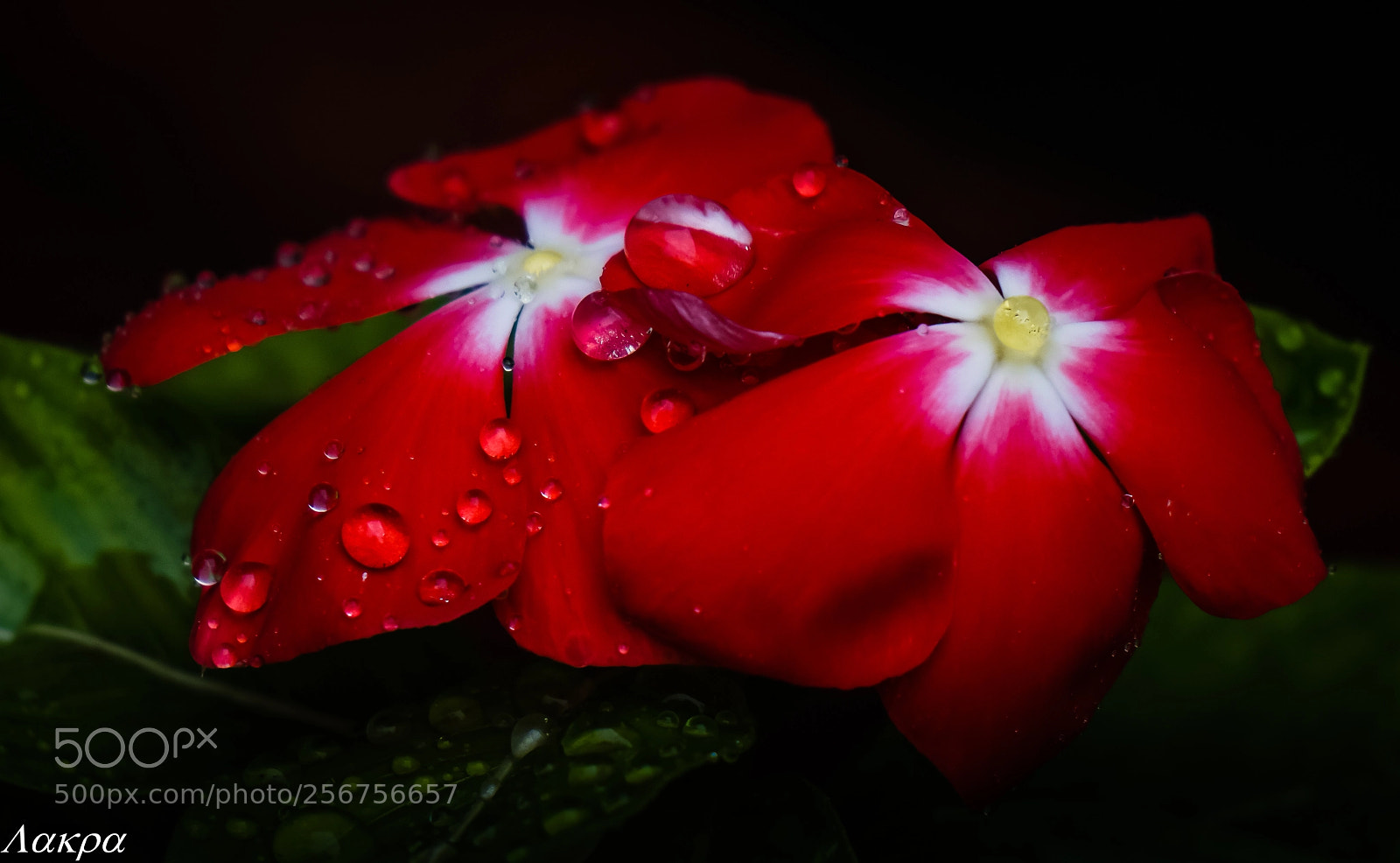 Sony a6000 sample photo. 65.jpg photography