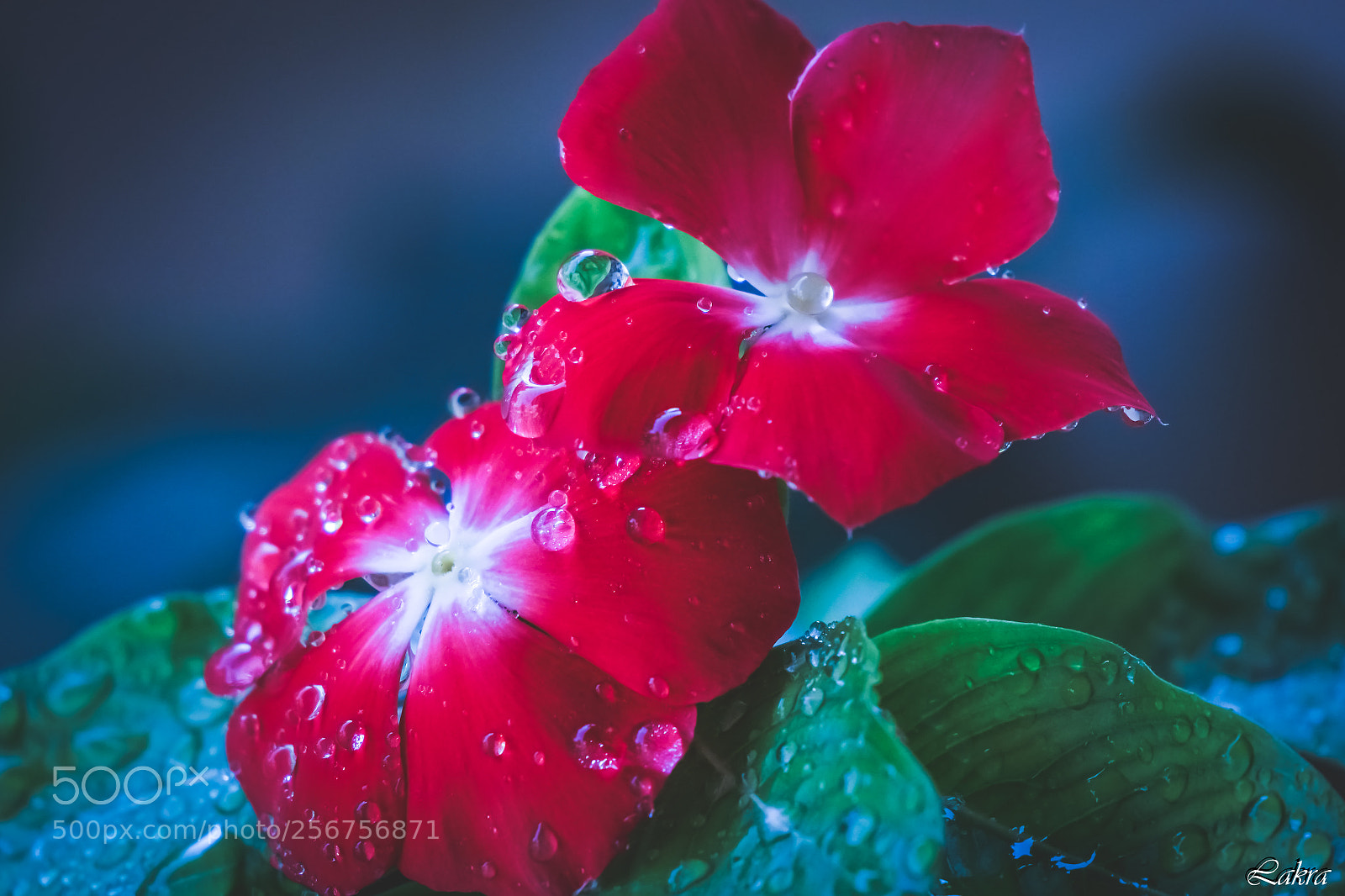 Sony a6000 sample photo. 89.jpg photography