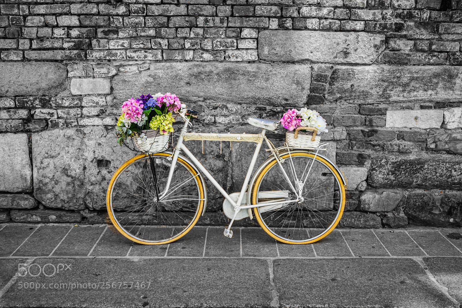 Nikon D7200 sample photo. Bicycle photography