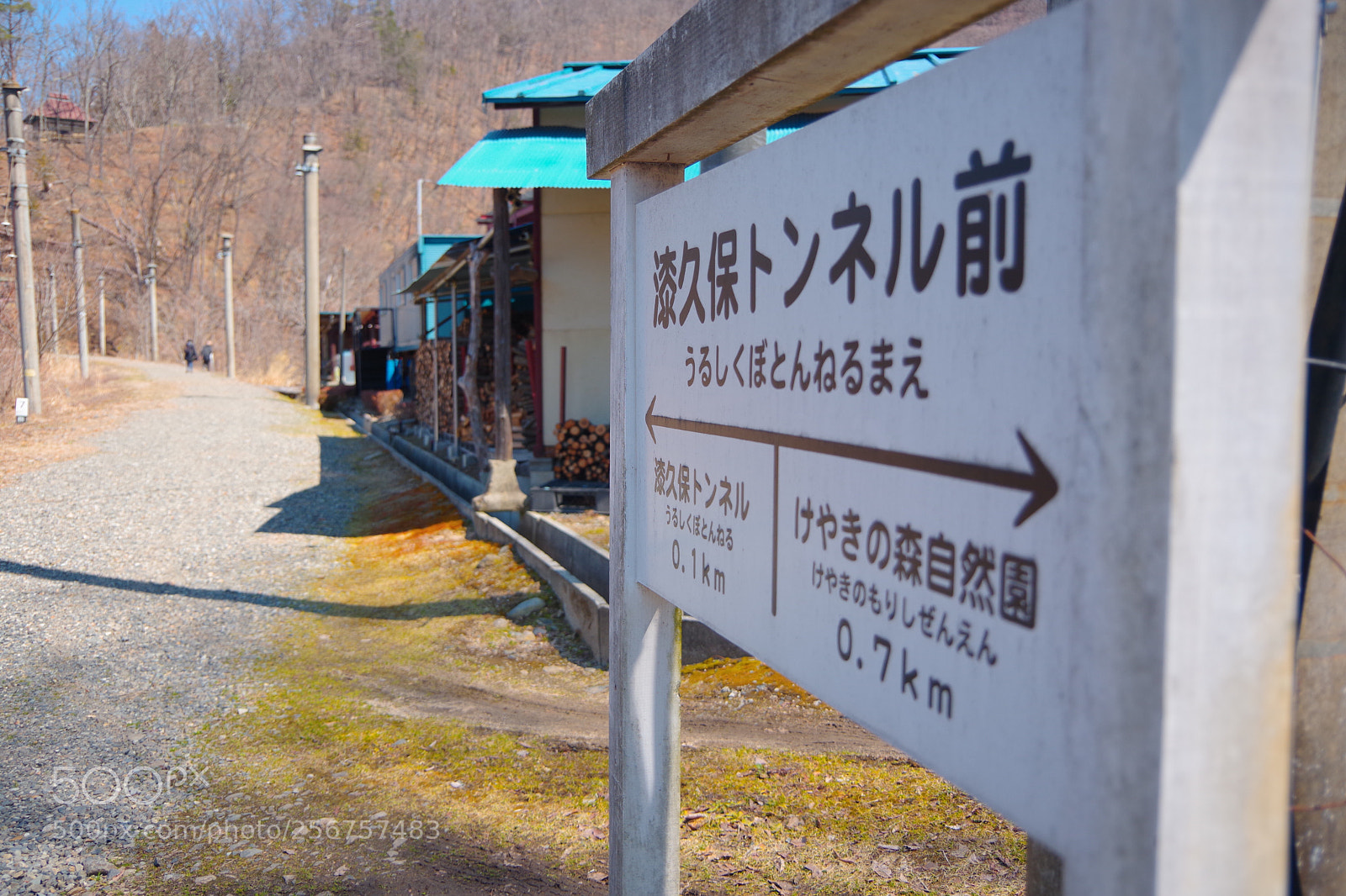 Pentax K-70 sample photo. Untitled photography