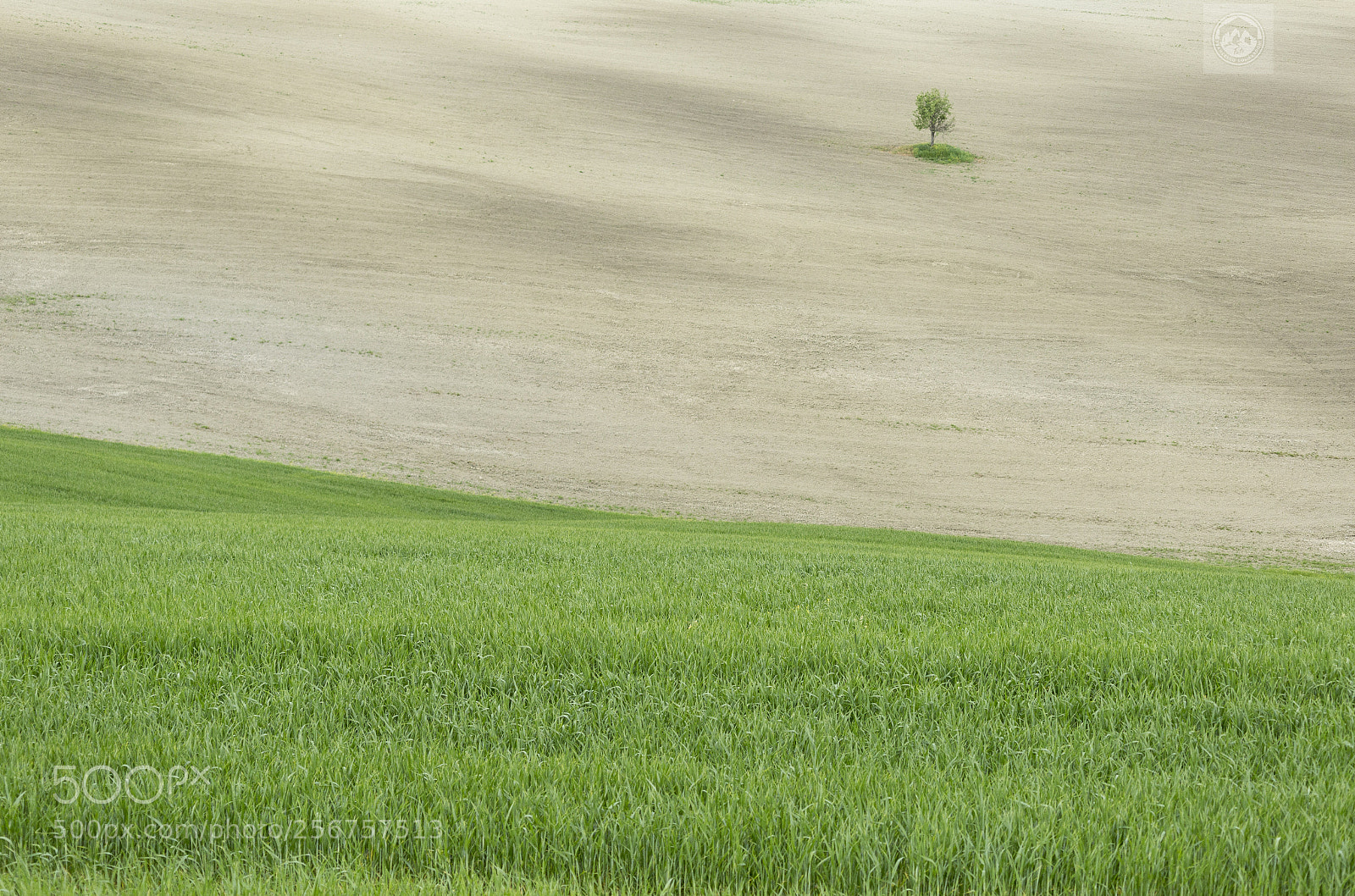 Canon EOS 6D sample photo. Only photography