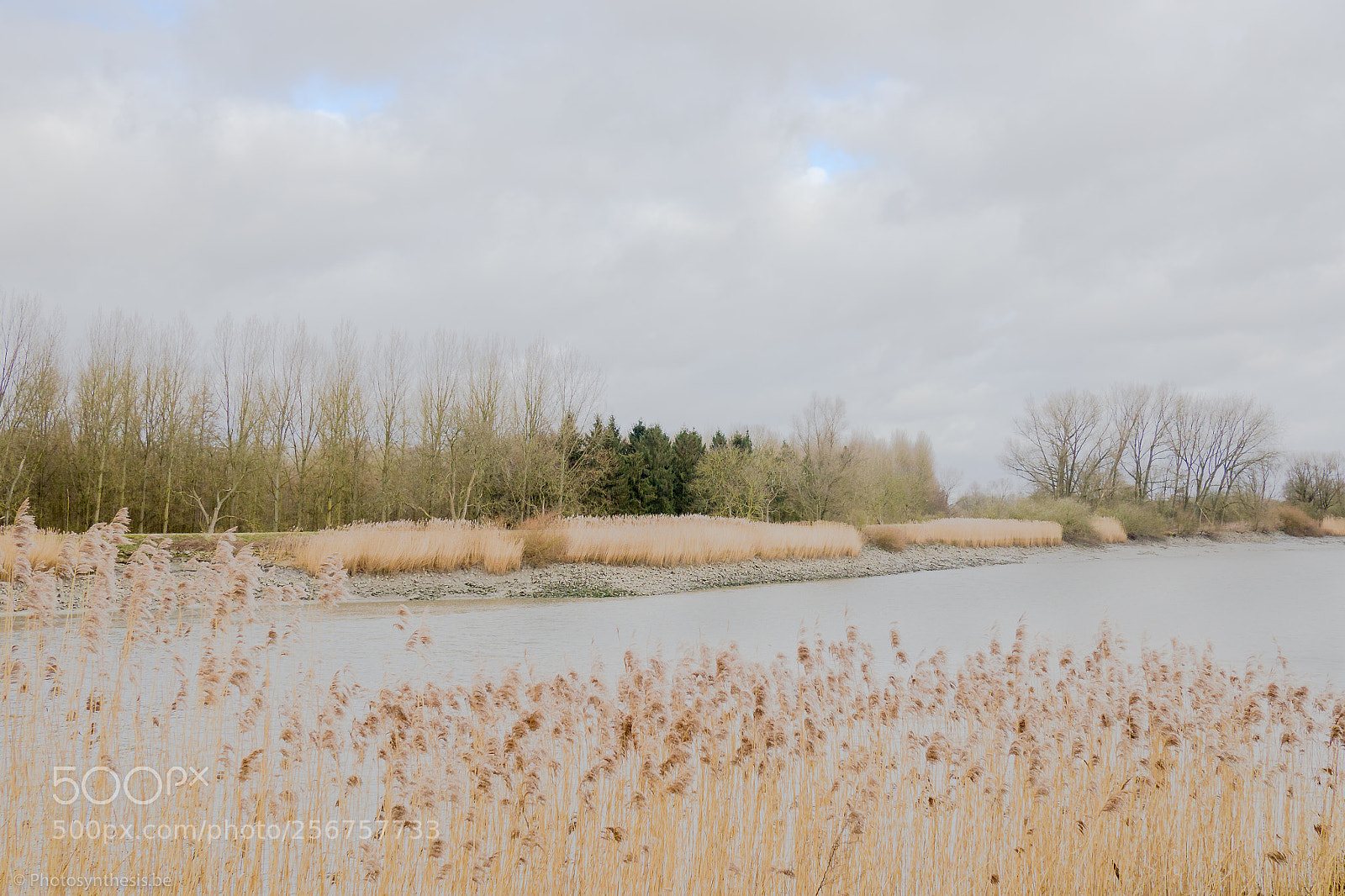Olympus OM-D E-M10 sample photo. Down by the river photography