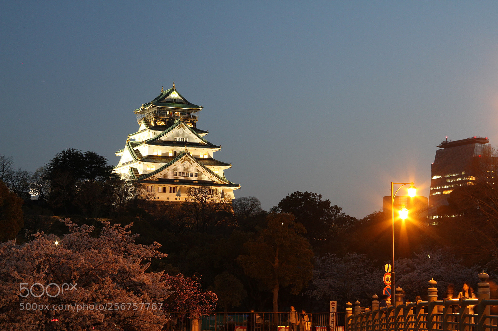 Canon EOS 7D + Canon EF 50mm F1.8 II sample photo. Osaka castle photography