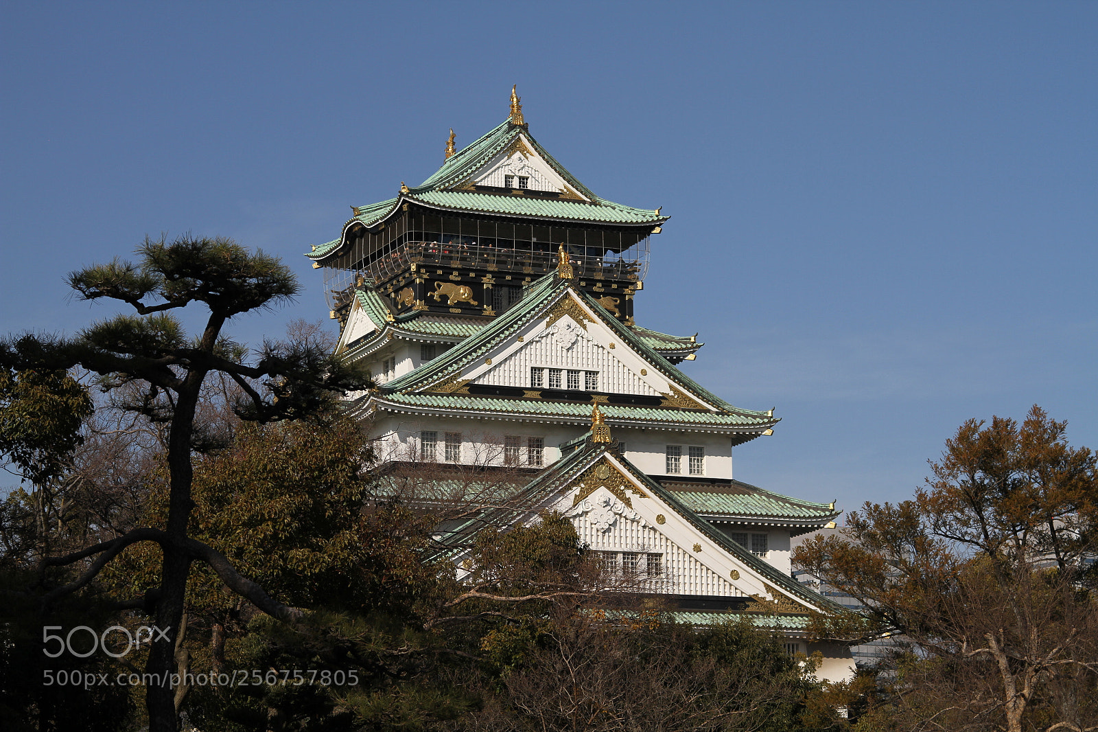 Canon EOS 7D + Canon EF 50mm F1.8 II sample photo. Osaka castle photography