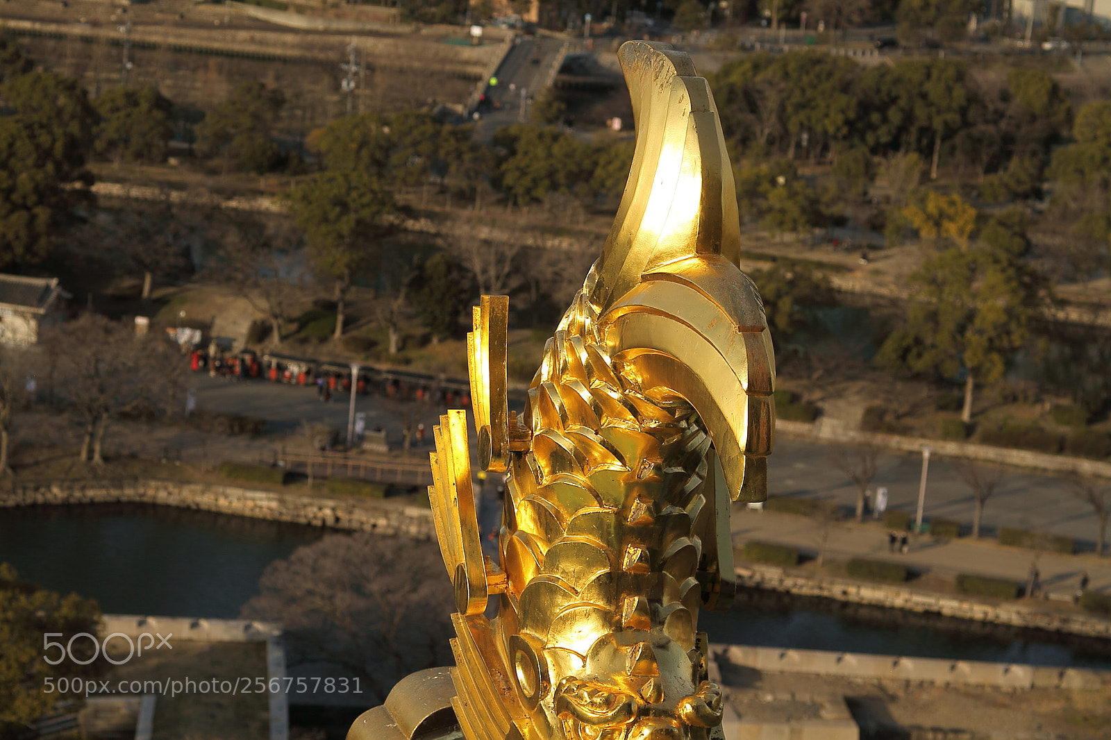 Canon EOS 7D + Canon EF 50mm F1.8 II sample photo. Img photography