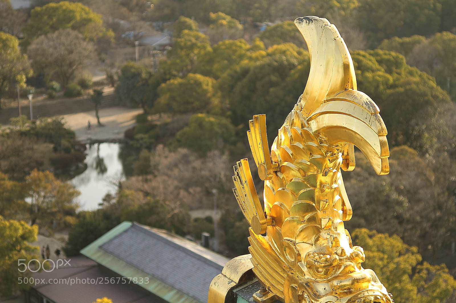 Canon EOS 7D + Canon EF 50mm F1.8 II sample photo. Osaka castle photography
