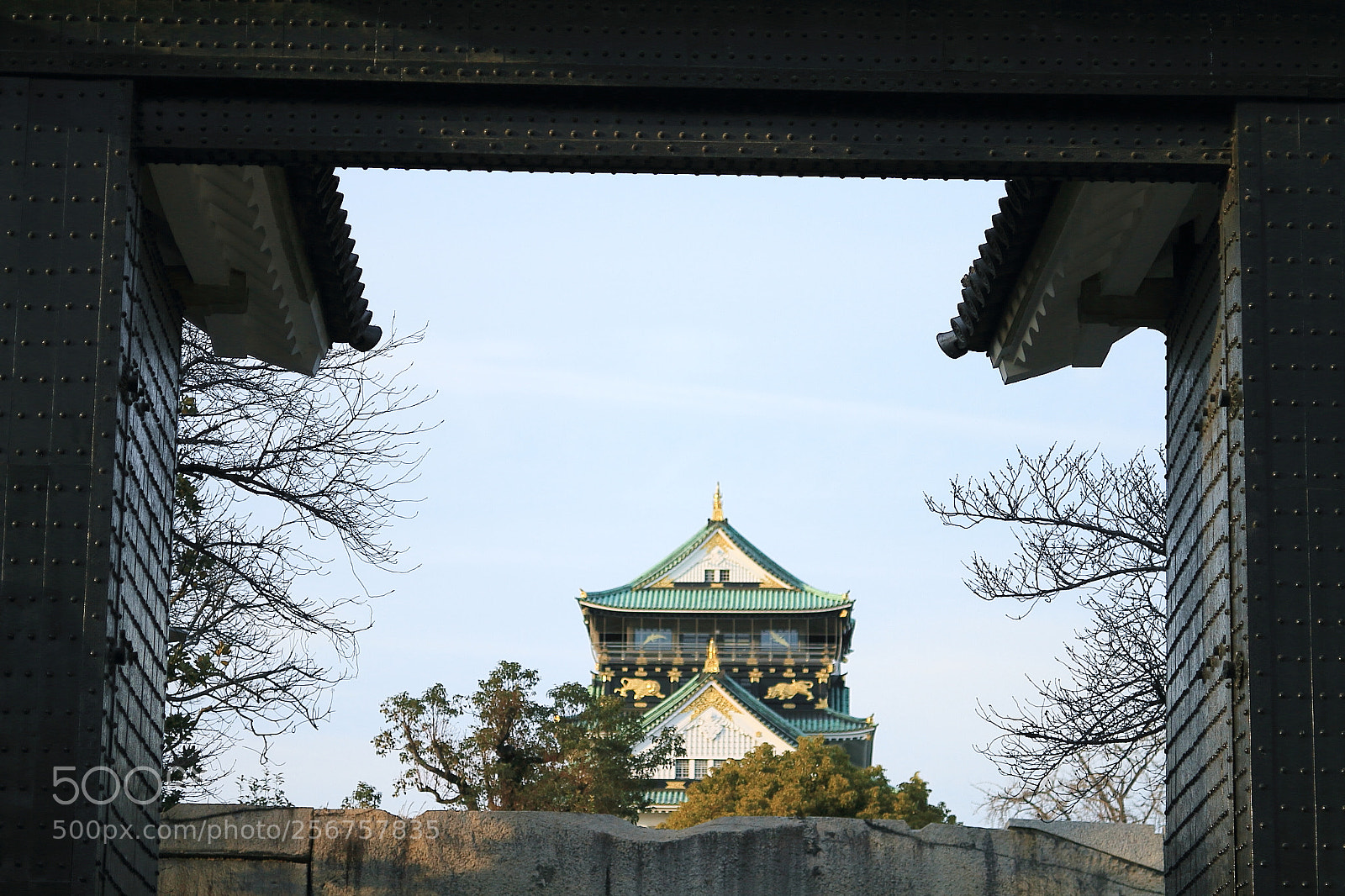 Canon EOS 7D + Canon EF 50mm F1.8 II sample photo. Osaka castle photography