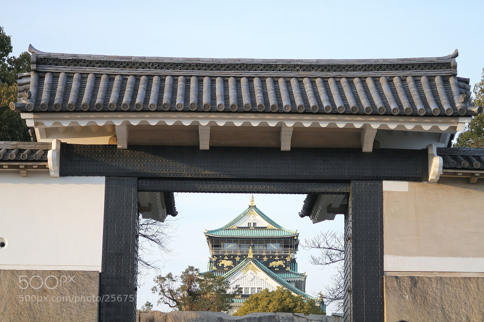 Canon EOS 7D + Canon EF 50mm F1.8 II sample photo. Osaka castle photography