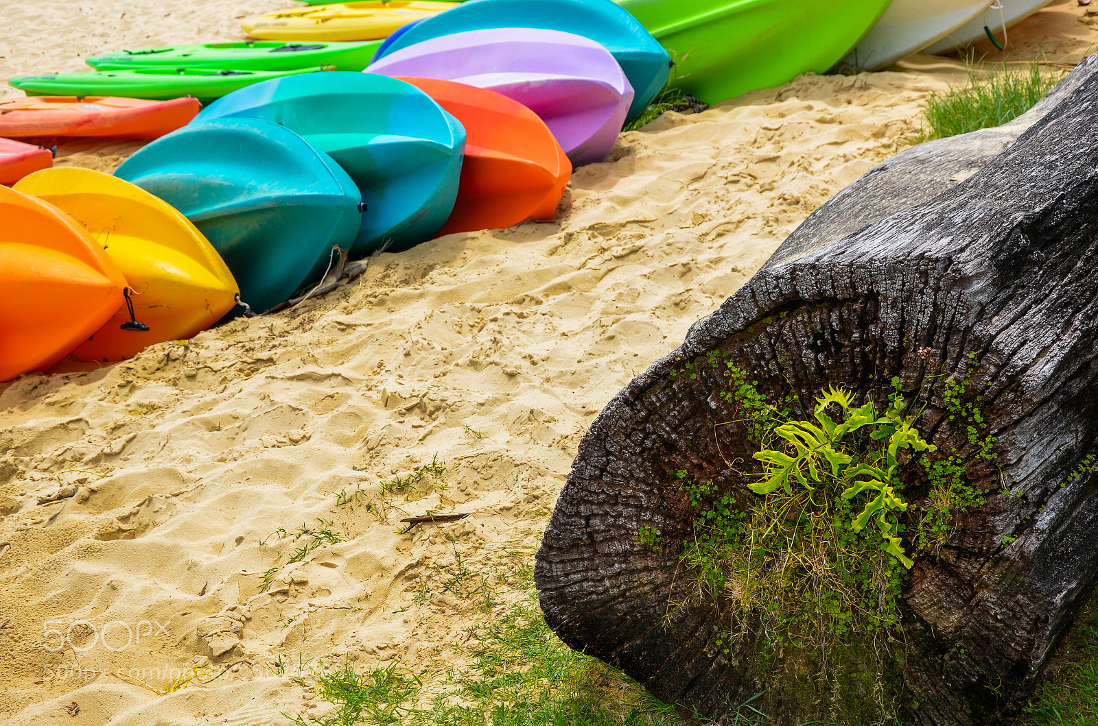 Nikon D7000 sample photo. Rainbow boats photography