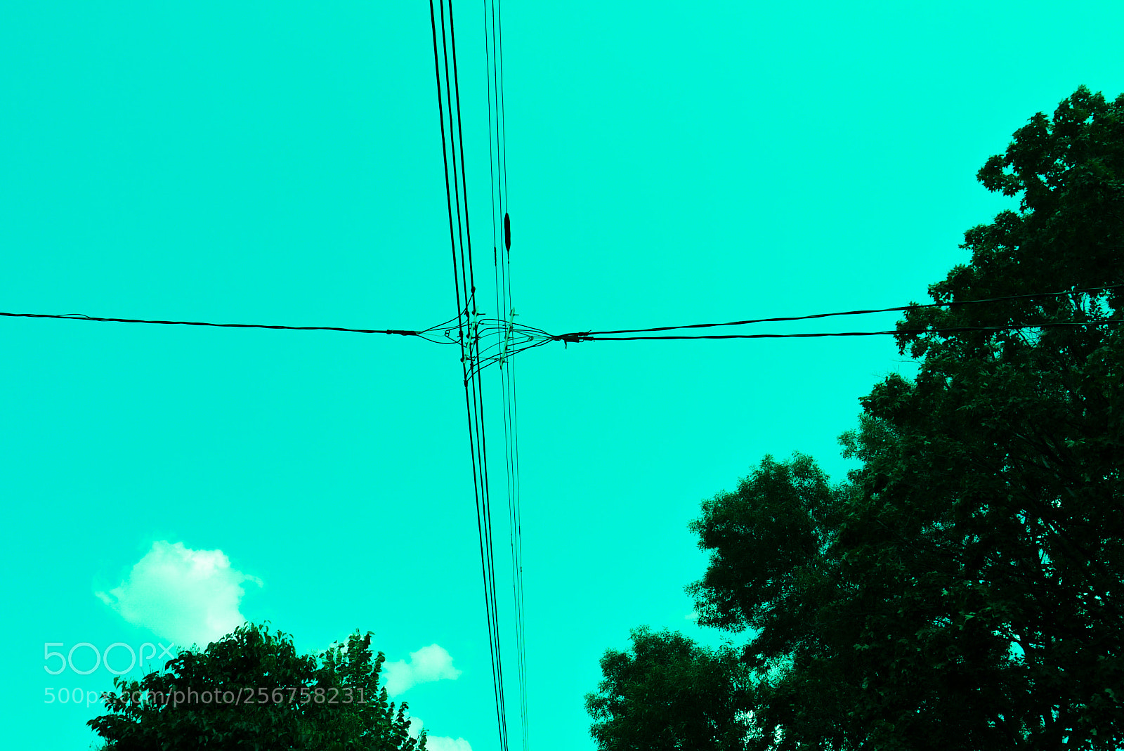 Panasonic Lumix DMC-G1 sample photo. Crossed wires photography