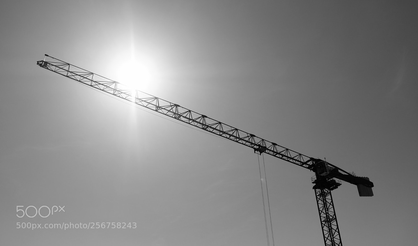 Fujifilm X-T20 sample photo. Fullsizeoutput a photography