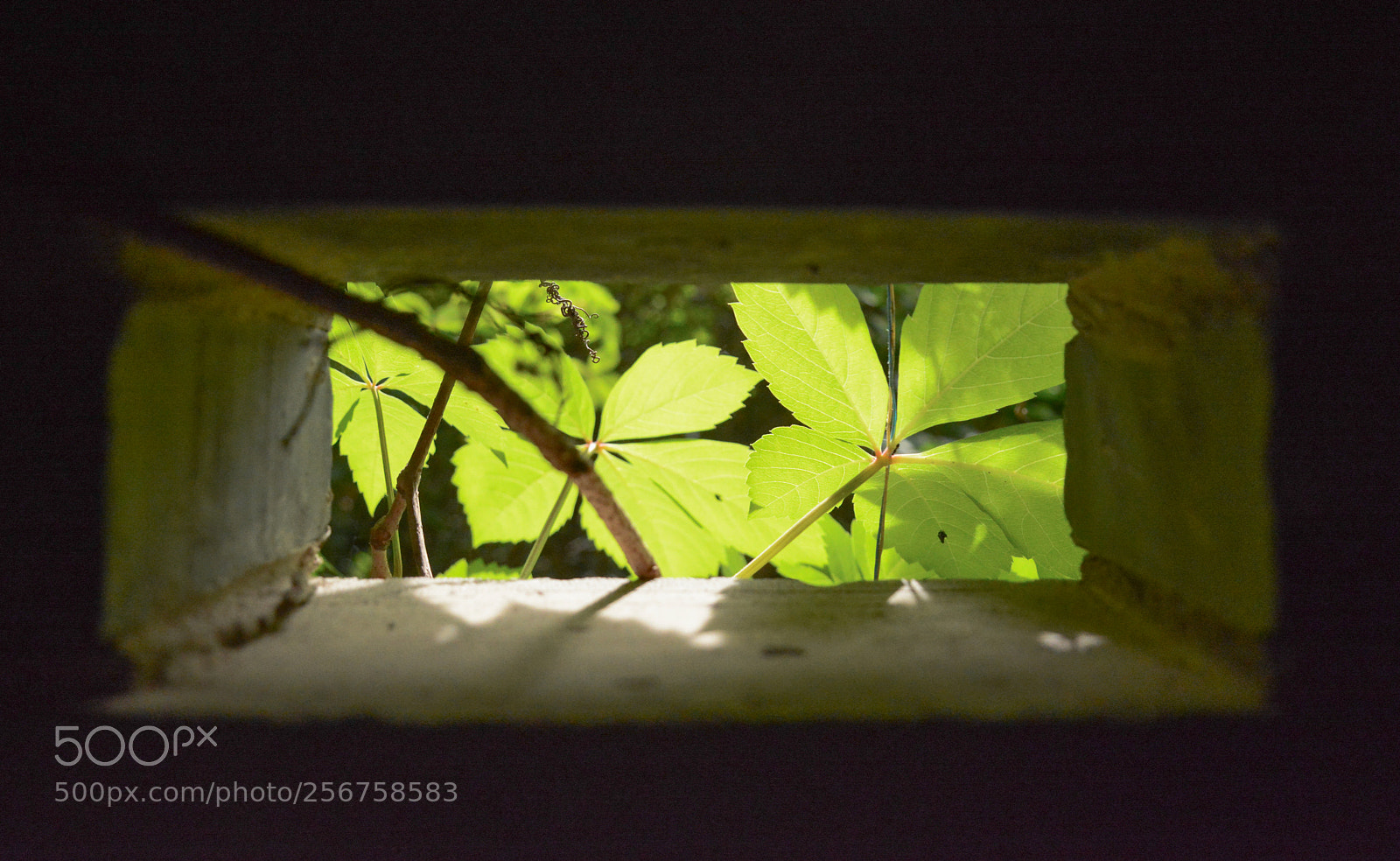 Nikon D7100 sample photo. Untitled photography