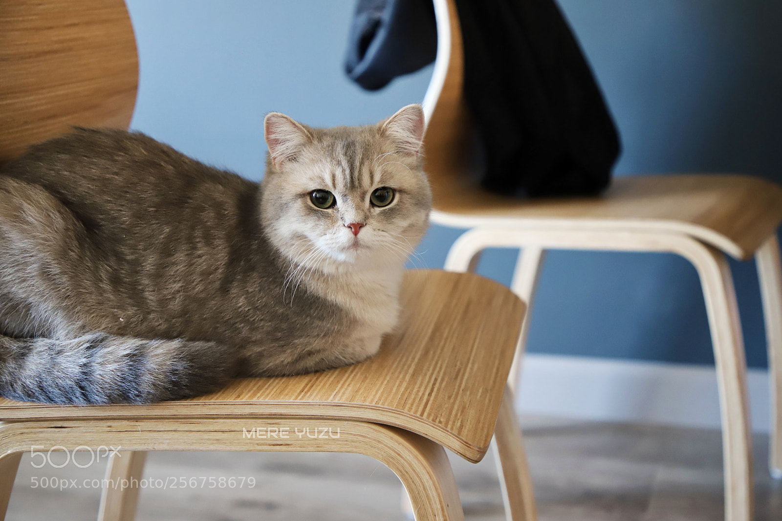 Canon EOS 6D Mark II sample photo. Dudu photography