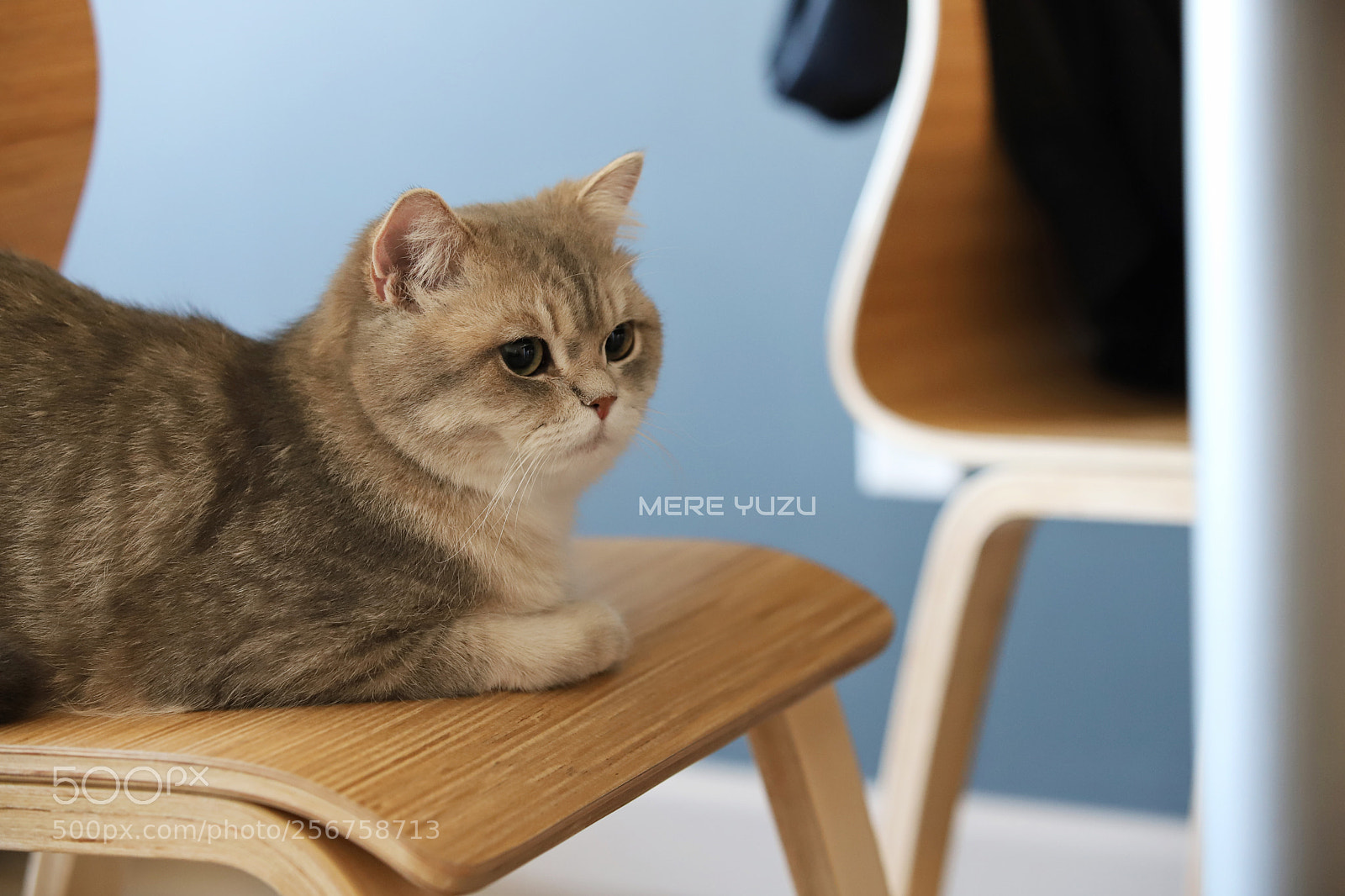 Canon EOS 6D Mark II sample photo. Dudu photography