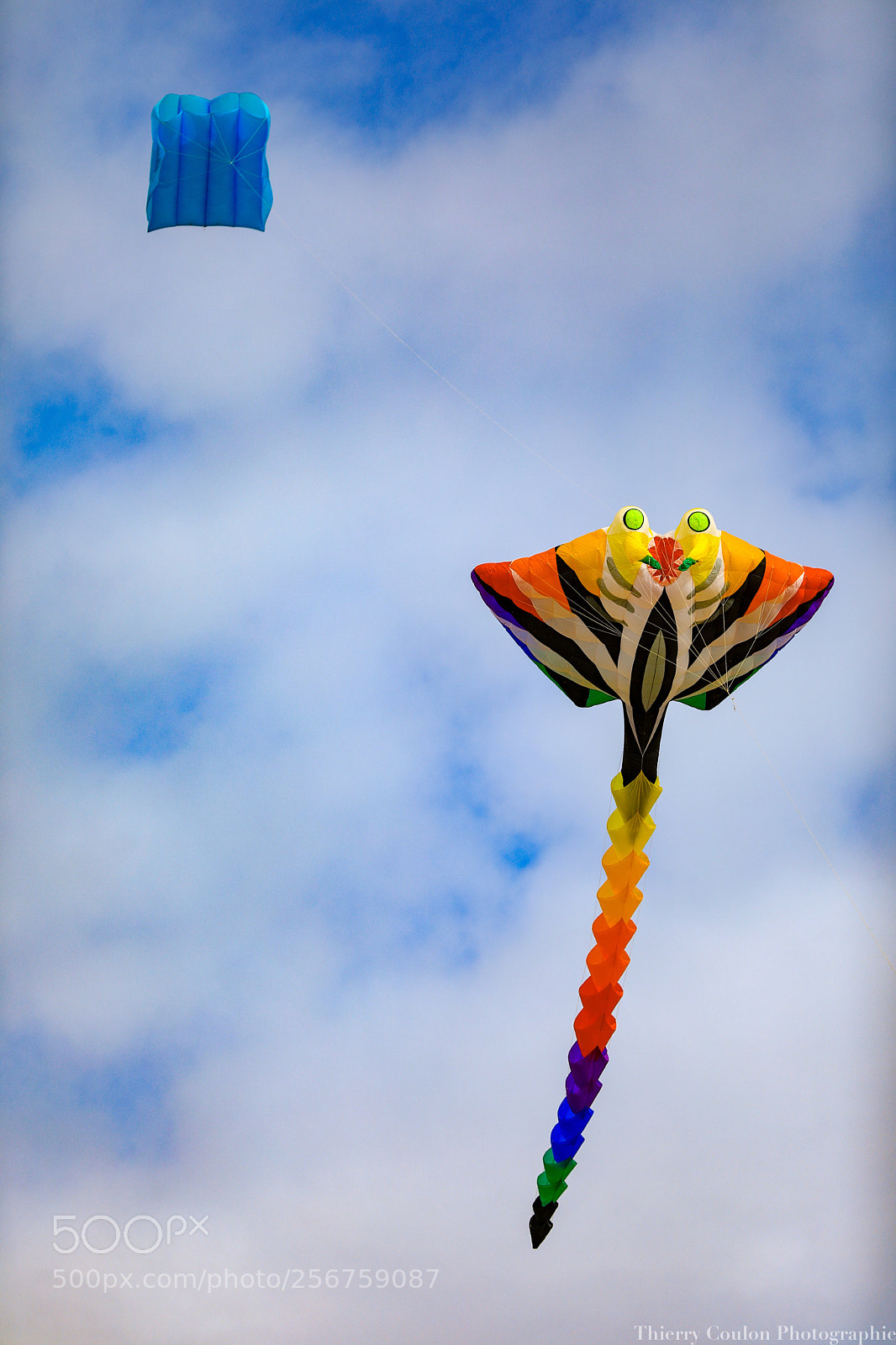 Canon EOS 5D Mark IV sample photo. Drôle de cerf-volant  photography
