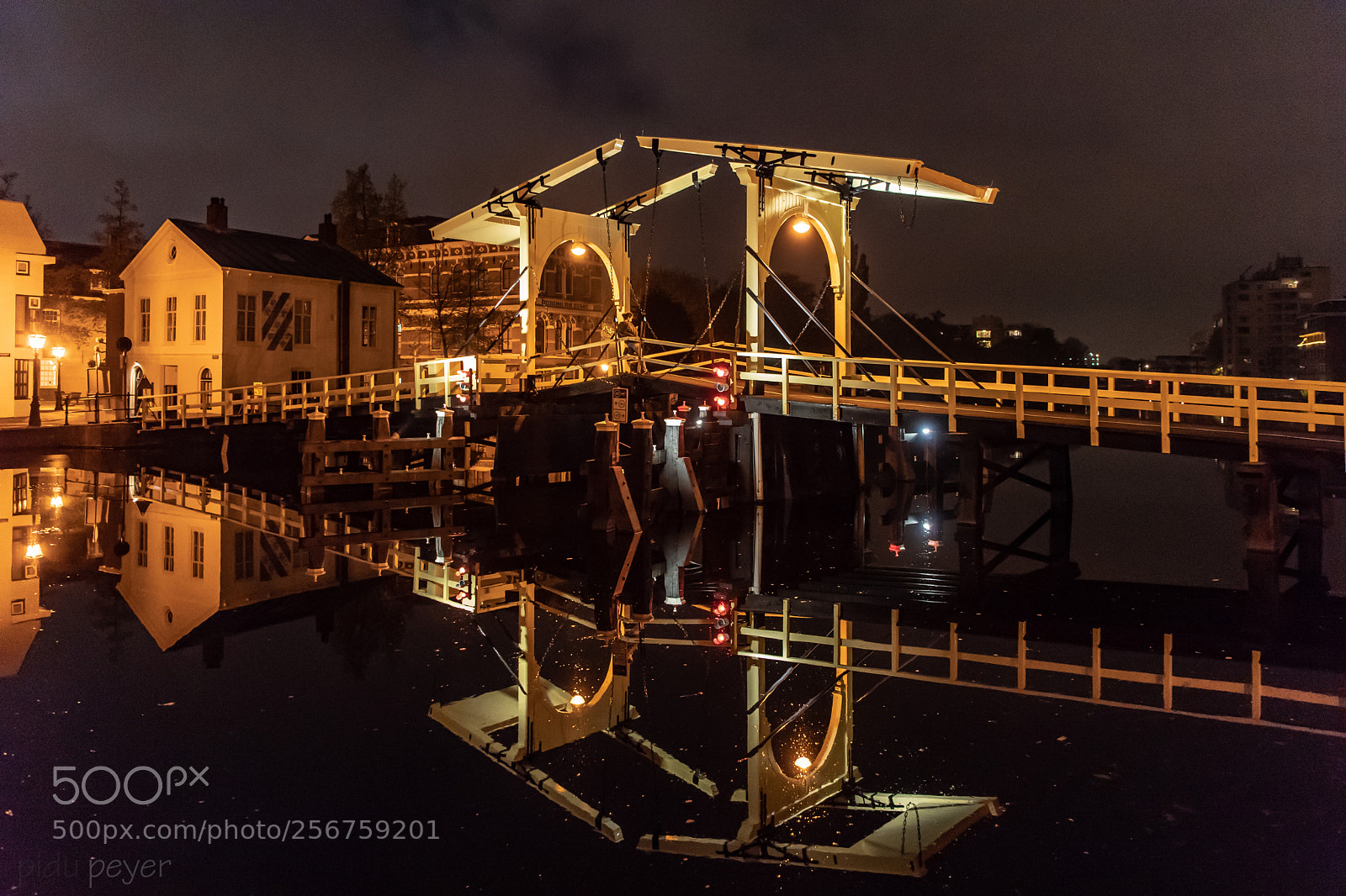 Nikon D5 sample photo. The beautiful leiden photography