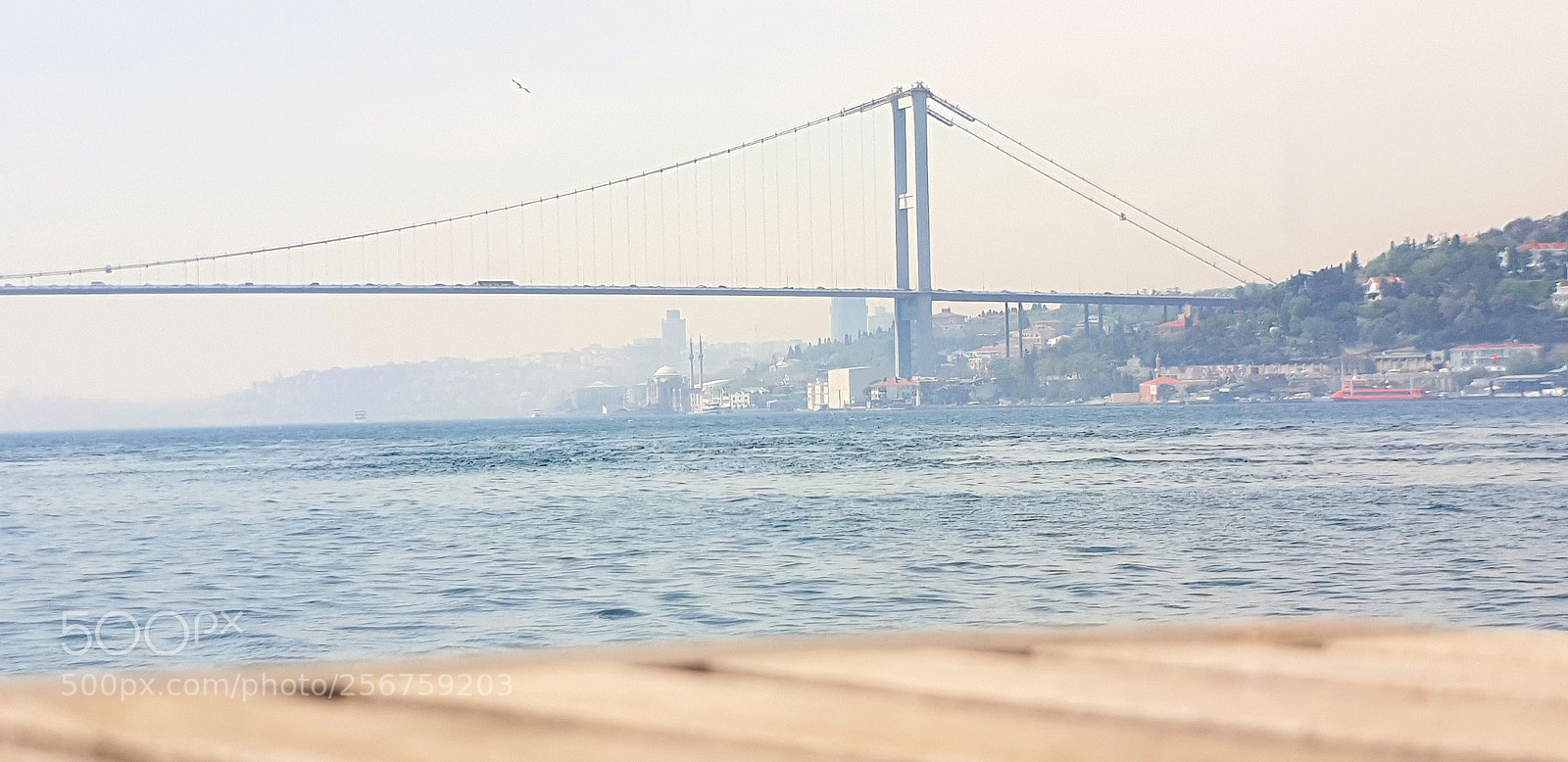 Samsung Galaxy S9+ sample photo. 20180425_123344.jpg photography
