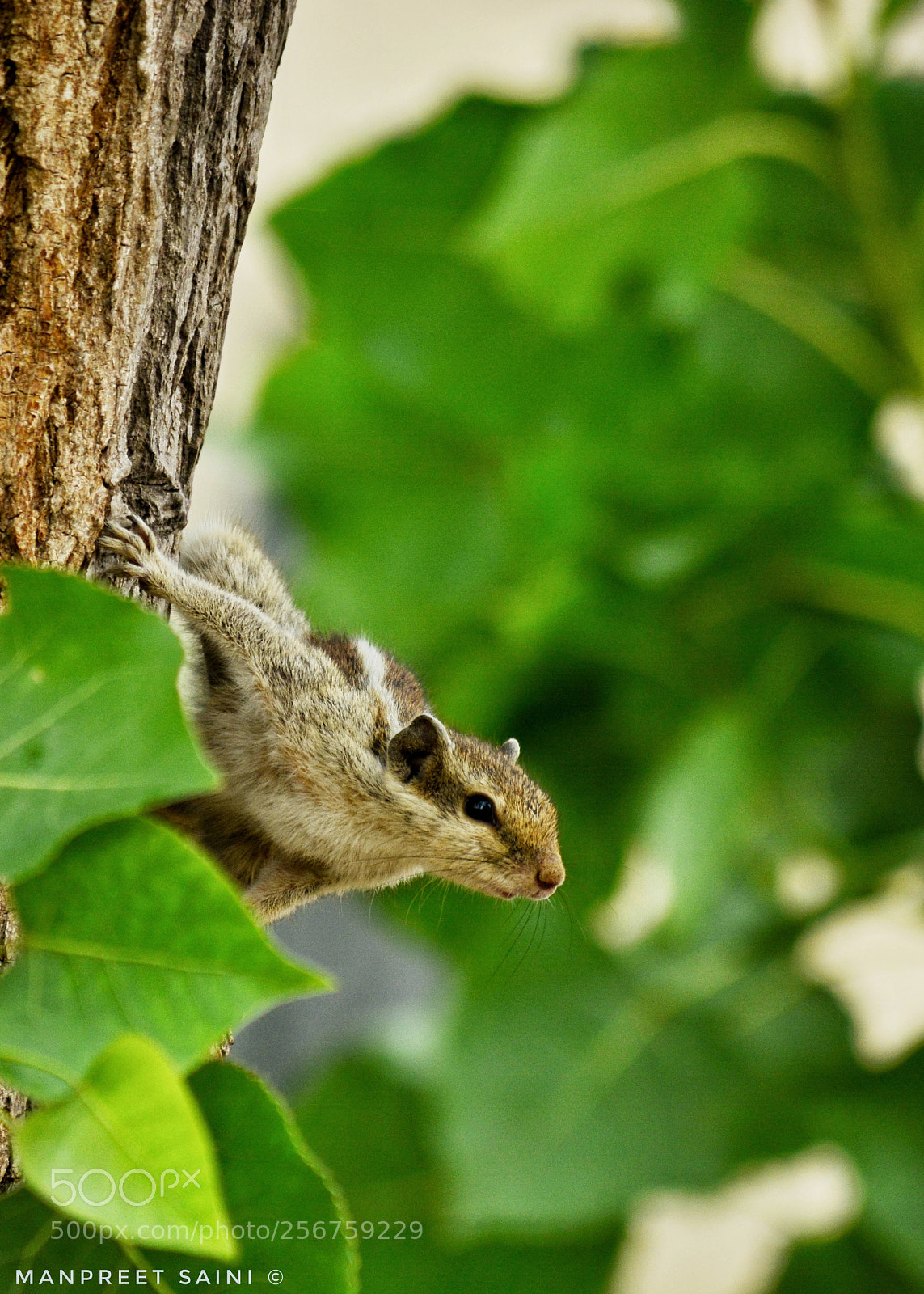 Nikon D5200 sample photo. Untitled photography