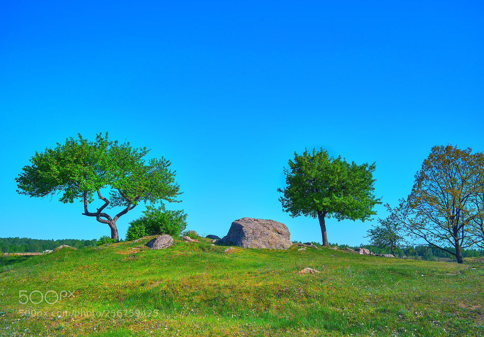 Nikon D800E sample photo. Blue and green photography