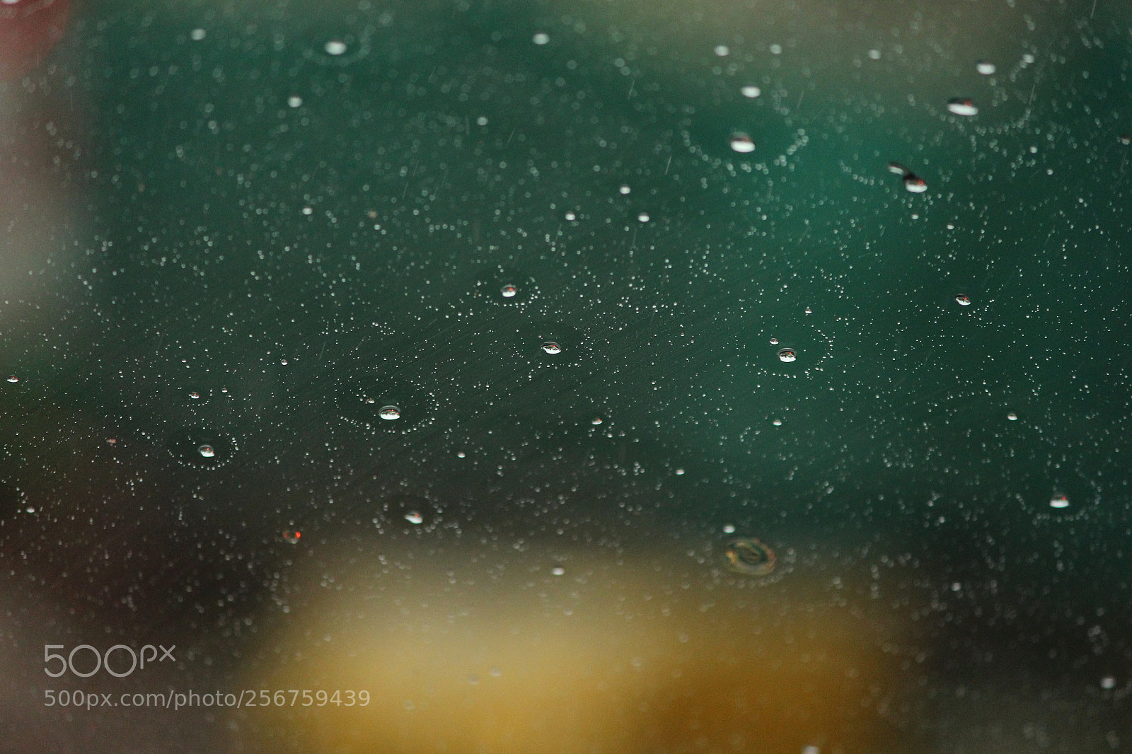 Canon EF-S 55-250mm F4-5.6 IS II sample photo. Sprinkled windshield photography