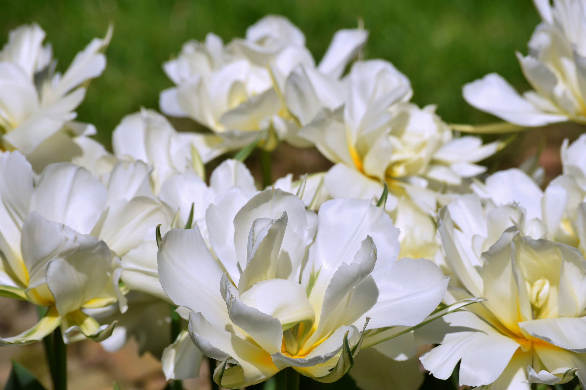 Nikon D5300 sample photo. "what if..." photography