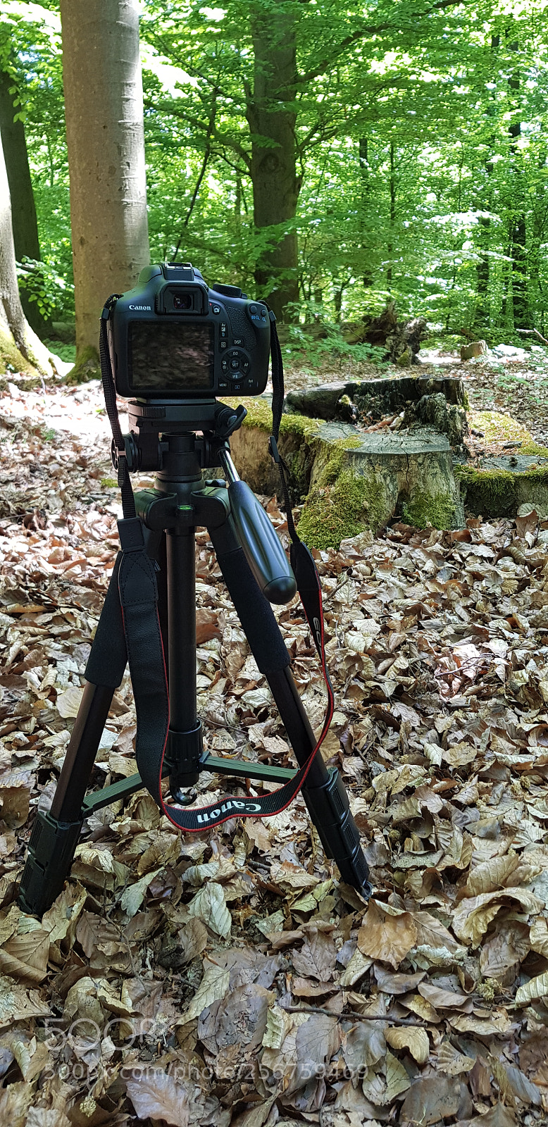 Samsung Galaxy S8 sample photo. Set up canon eos photography