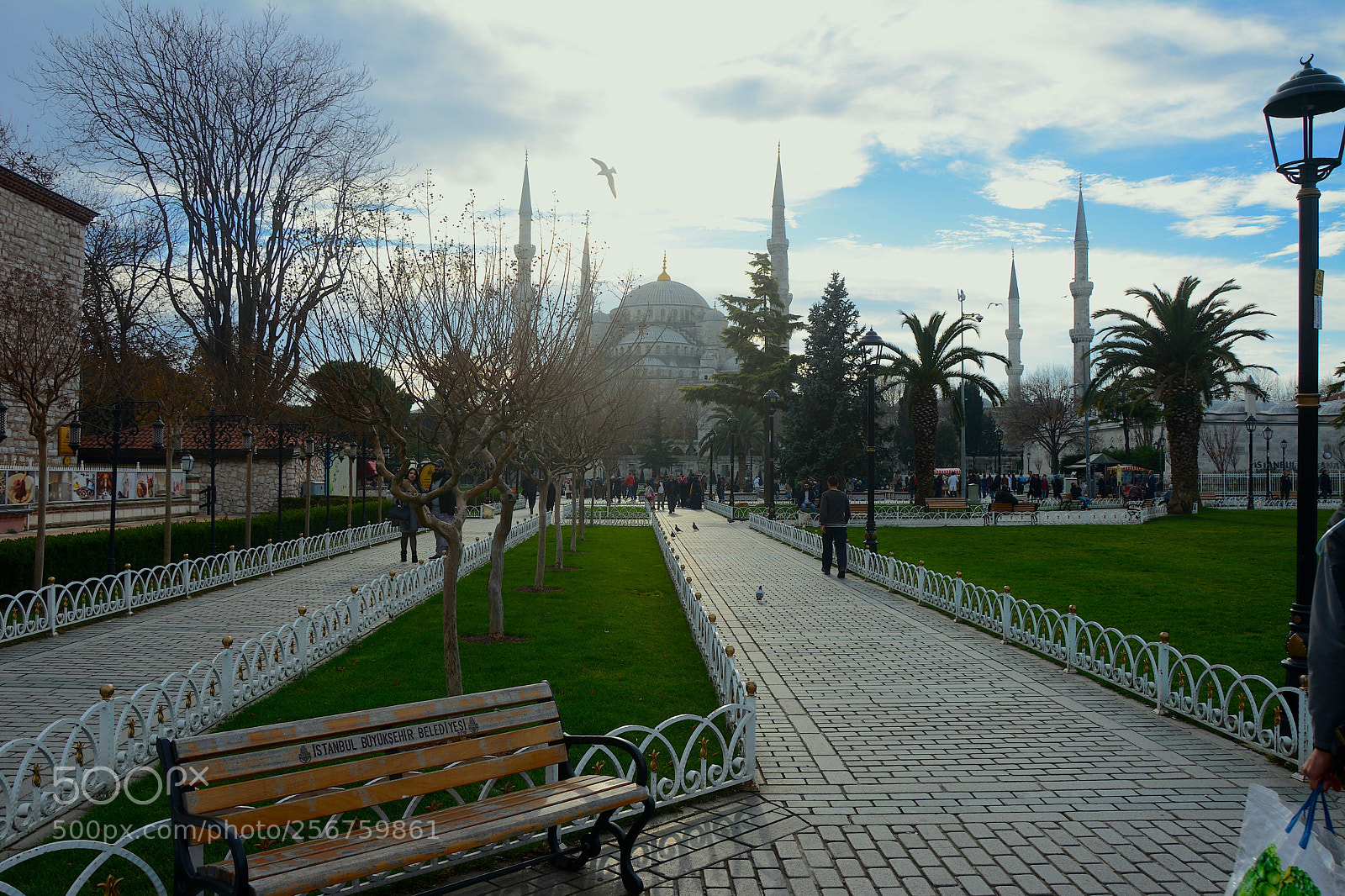 Nikon D7100 sample photo. Img photography
