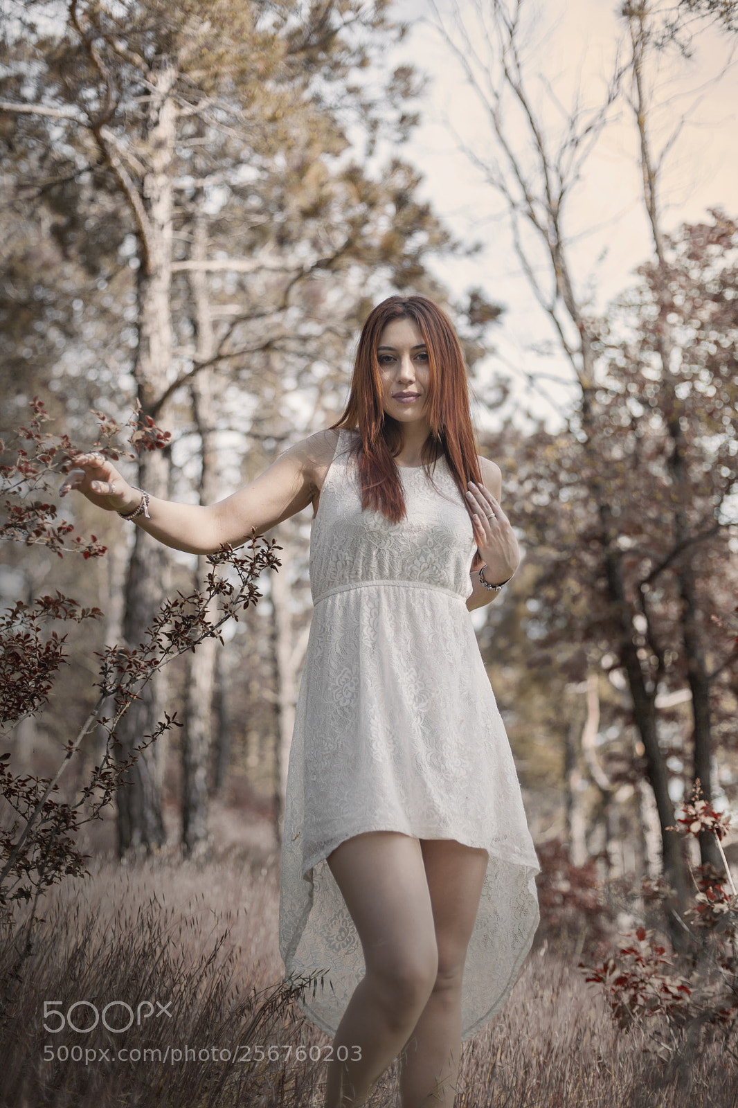 Canon EOS 5D Mark II sample photo. Alice in forrest photography