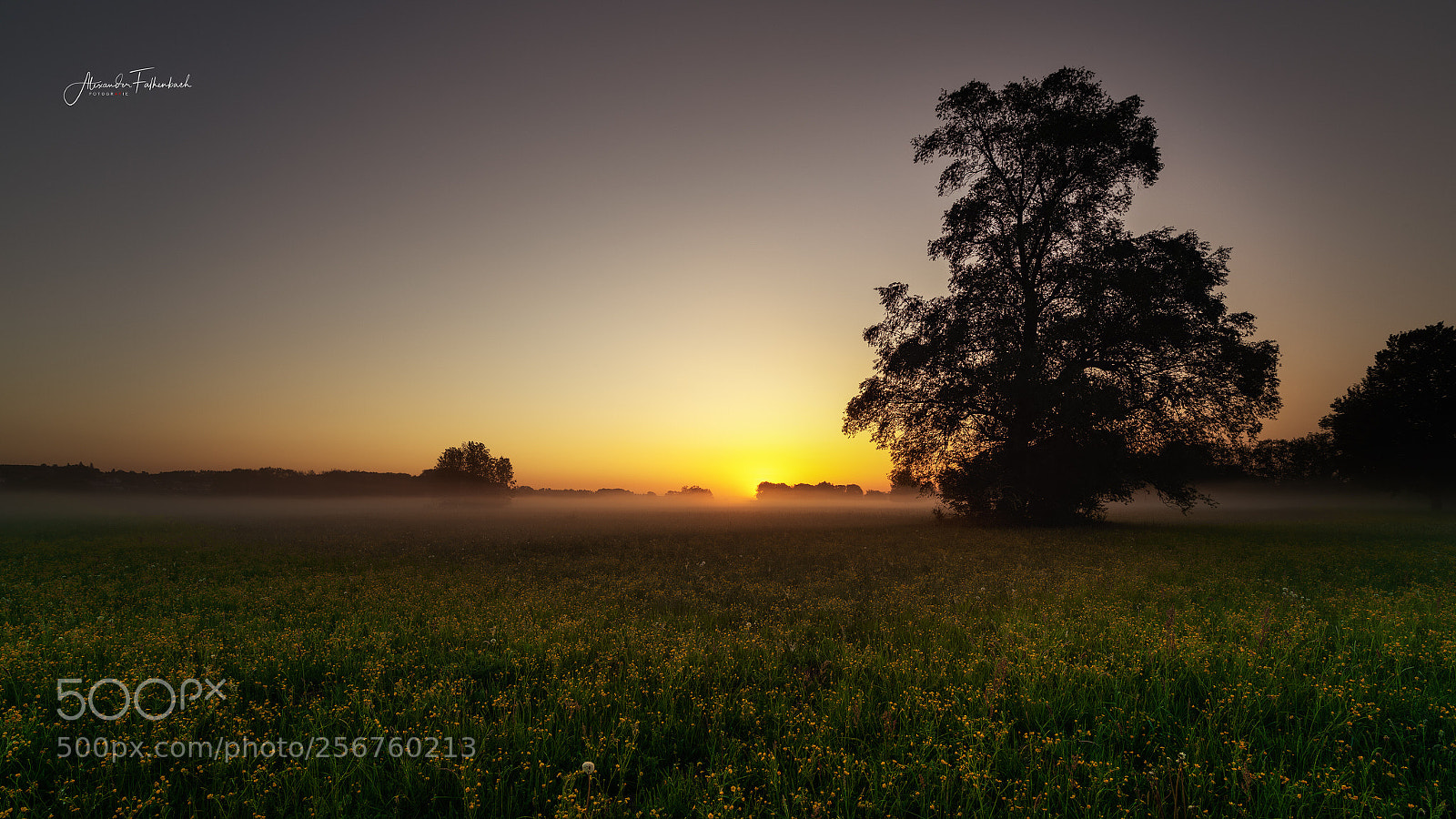 Nikon D850 sample photo. Sonnenaufgang mit nebel photography