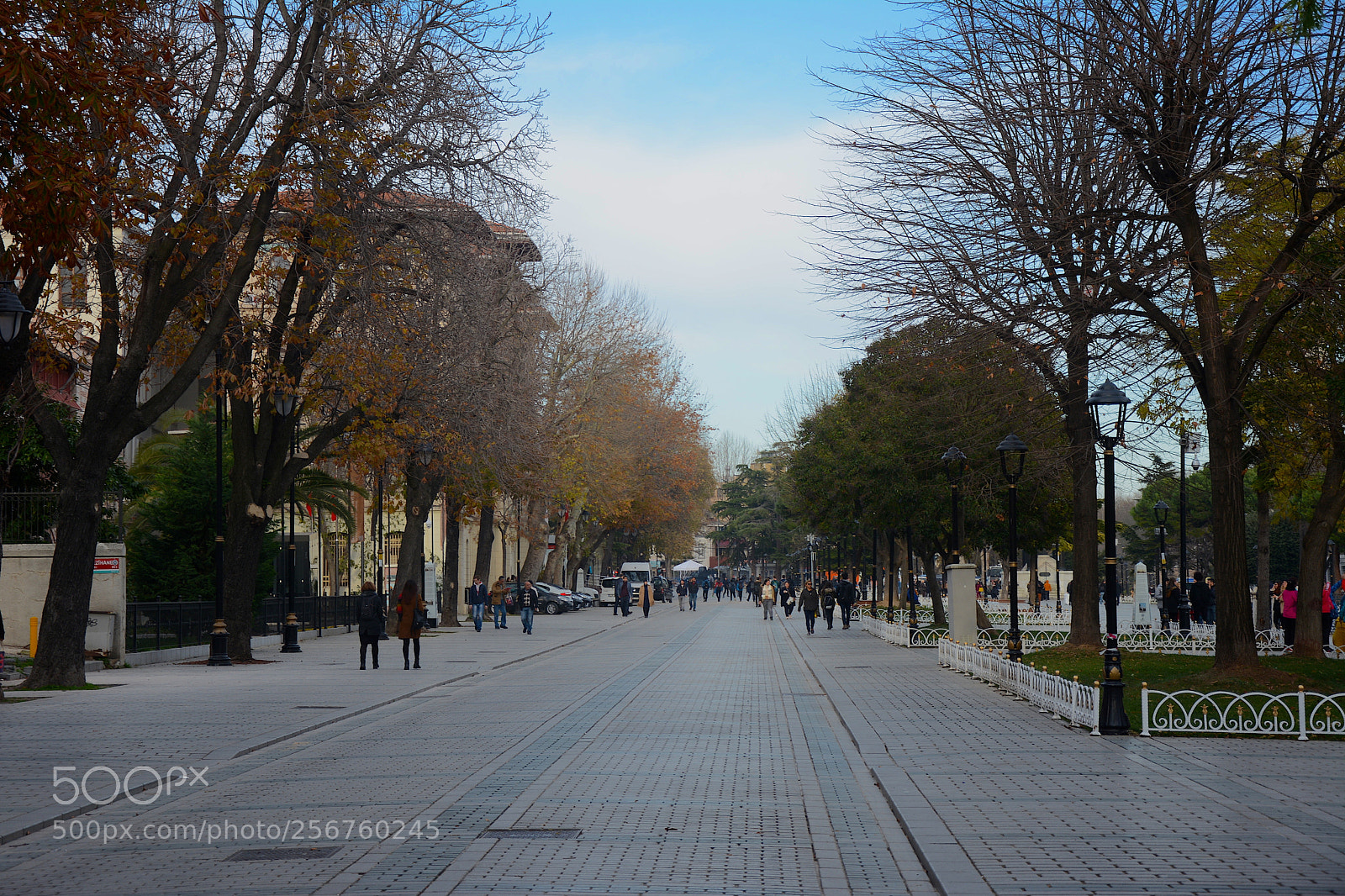 Nikon D7100 sample photo. Img photography