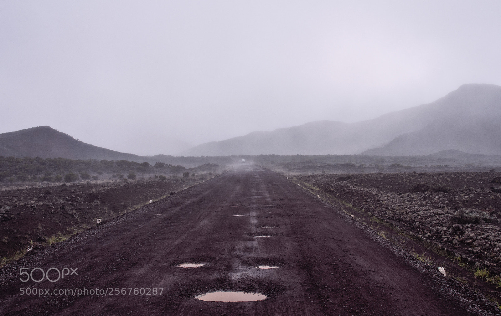 Nikon D300S sample photo. Driving in the fog photography