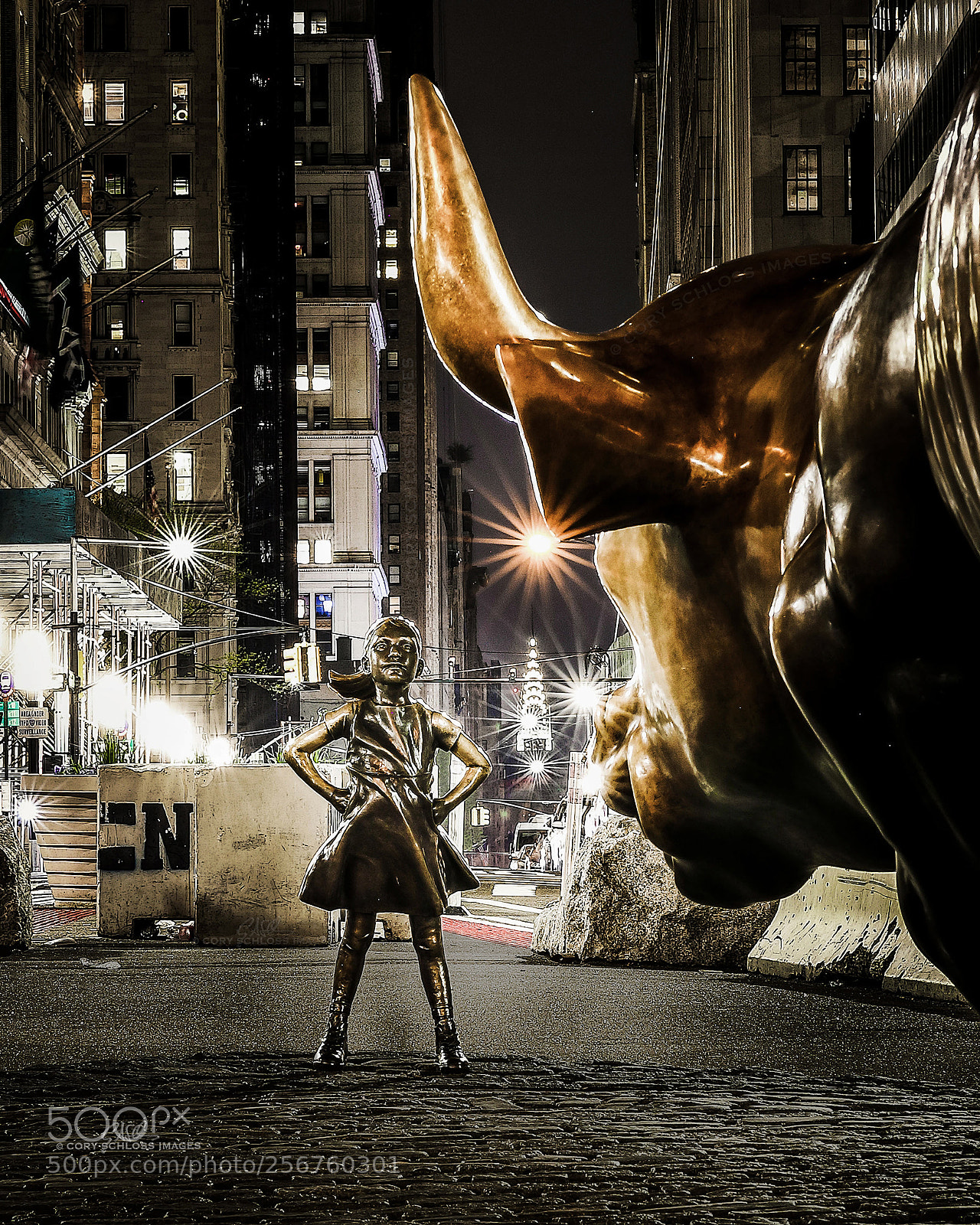 Canon EOS 5D Mark IV sample photo. Fearless & the bull photography