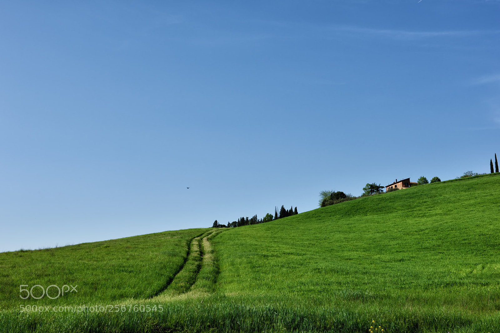 Nikon D810 sample photo. In sky and earth photography