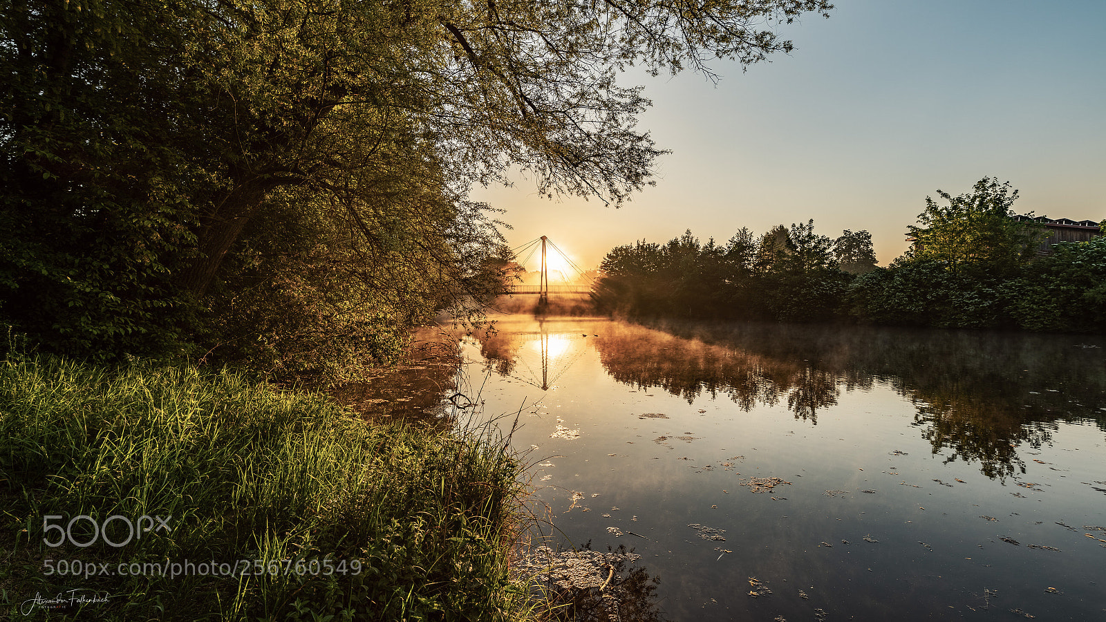 Nikon D850 sample photo. Early in the morning photography