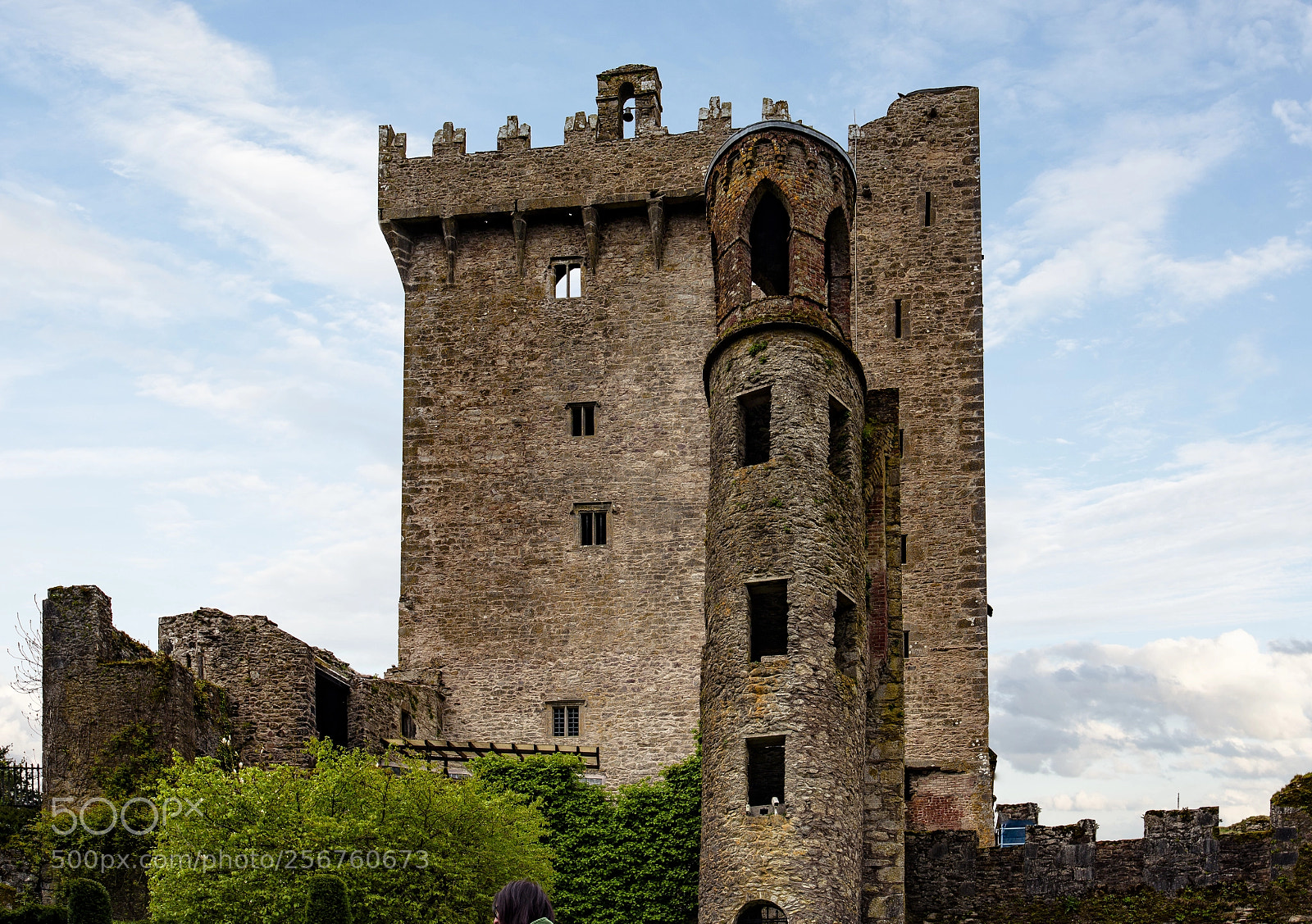 Nikon D810 sample photo. Blarney castle, ireland photography